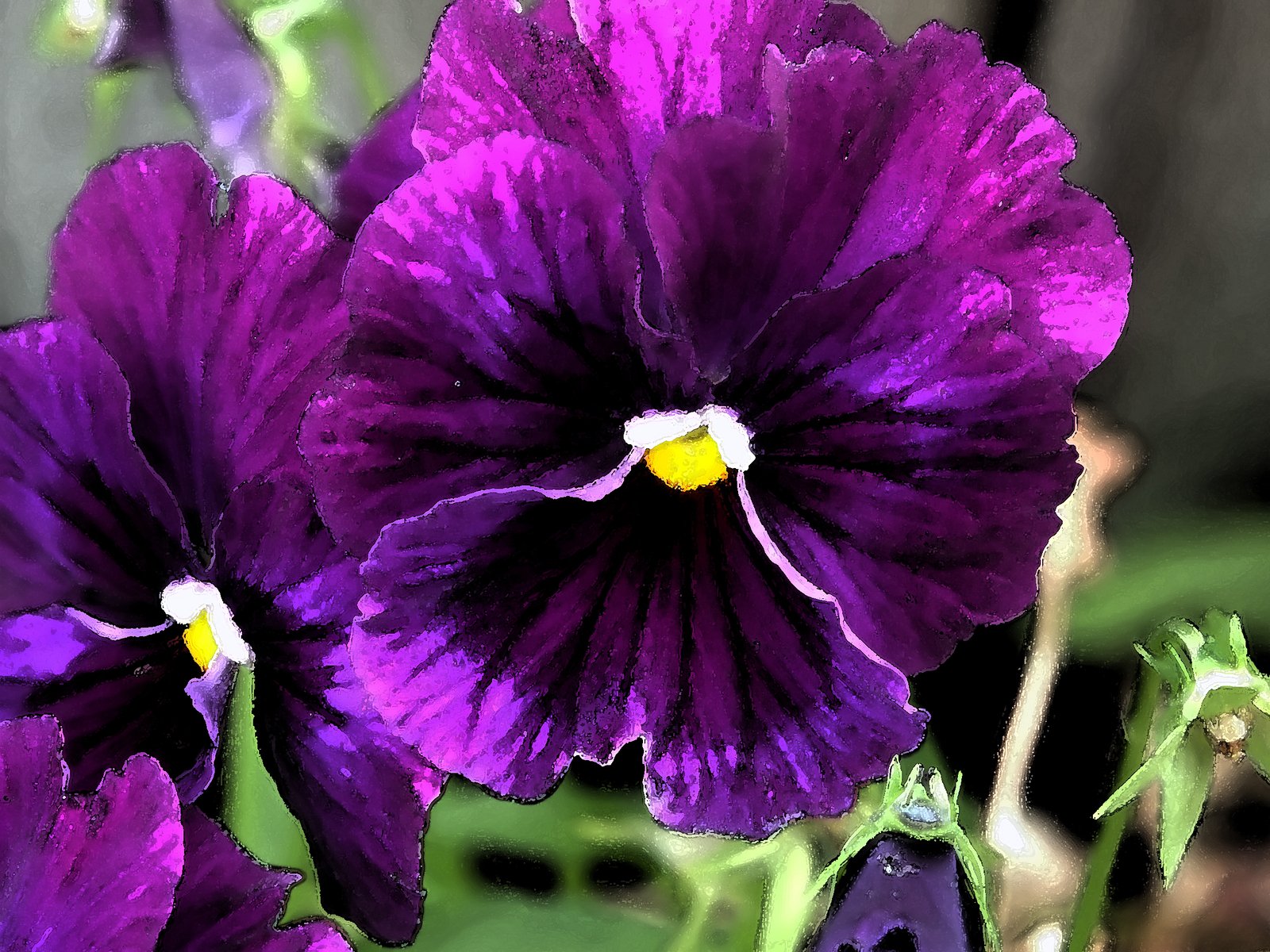 Free Purple Flower Watercolor Stock Photo - FreeImages.com