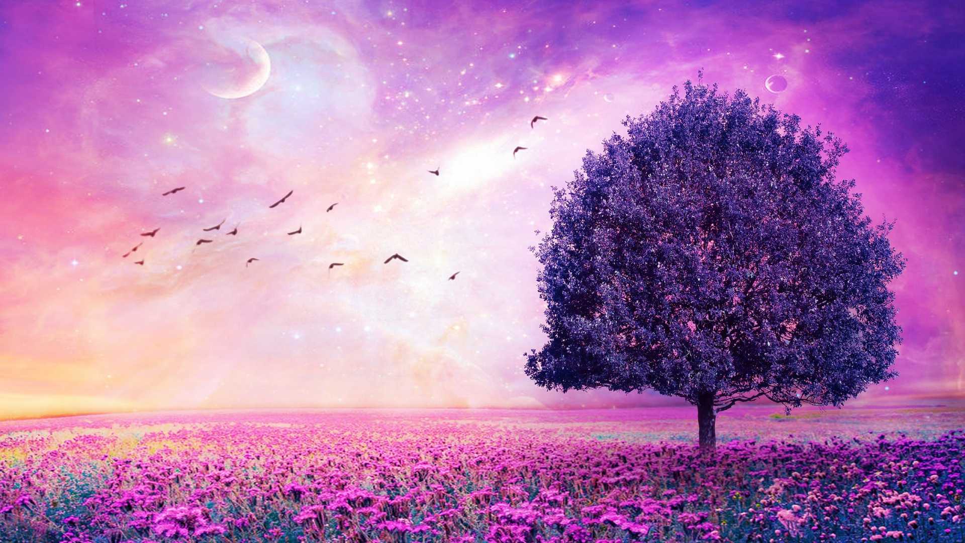 Purple Flower Wallpaper For Desktop Flowers Hd Pics Of Androids Long ...