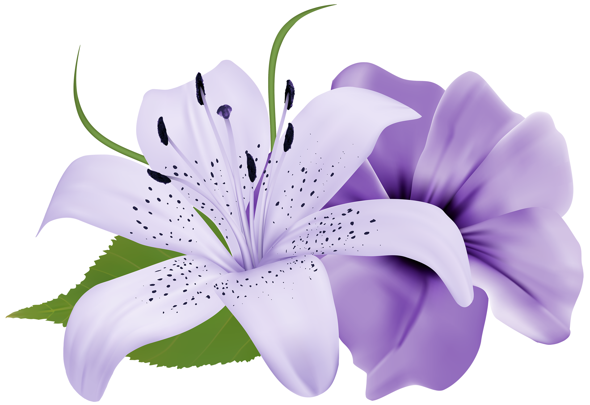 Purple Deco Flowers PNG Clipart - Best WEB Clipart