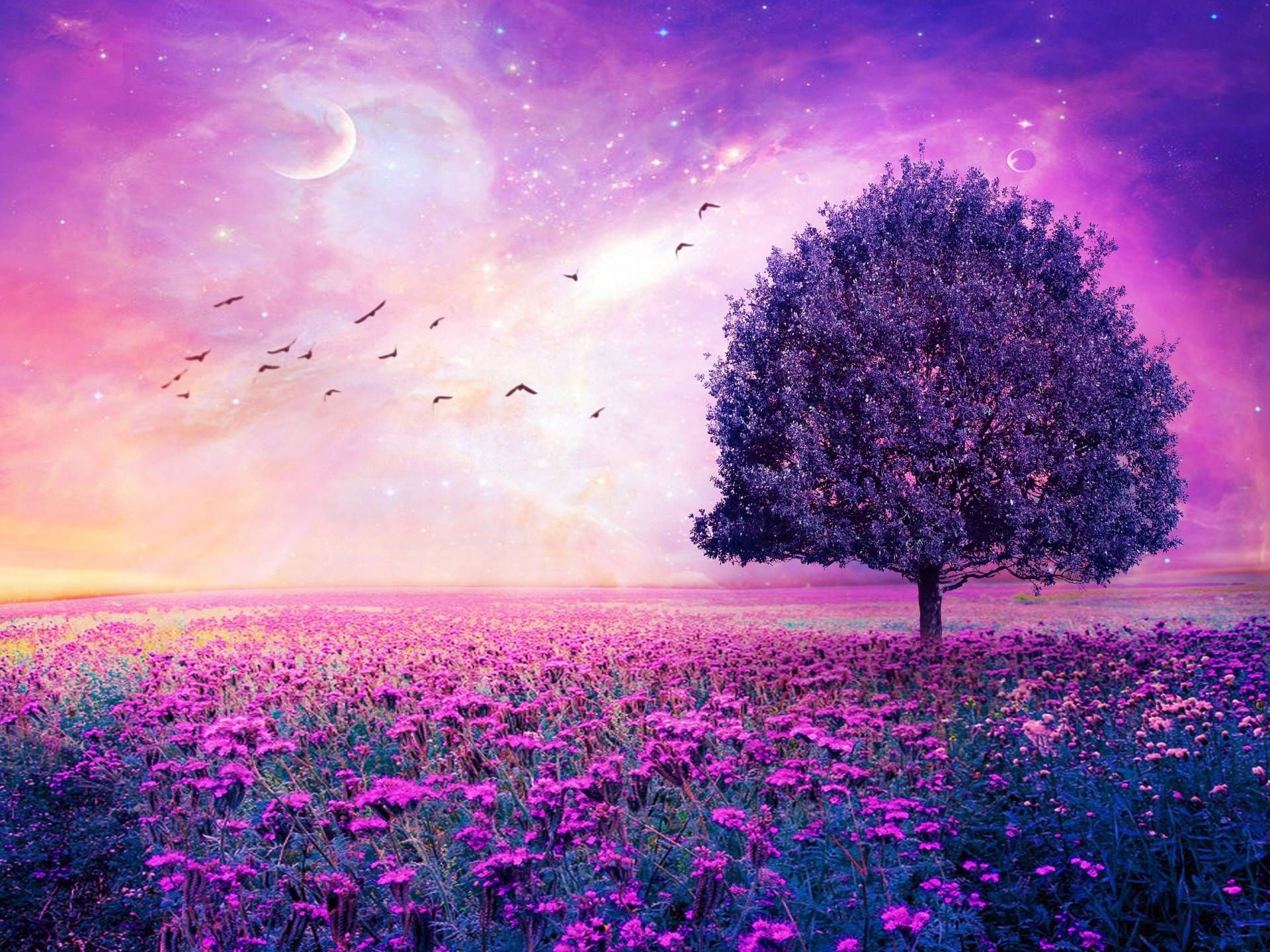 Purple Flowers Field Art Tree HD Wallpapers - High Definition ...