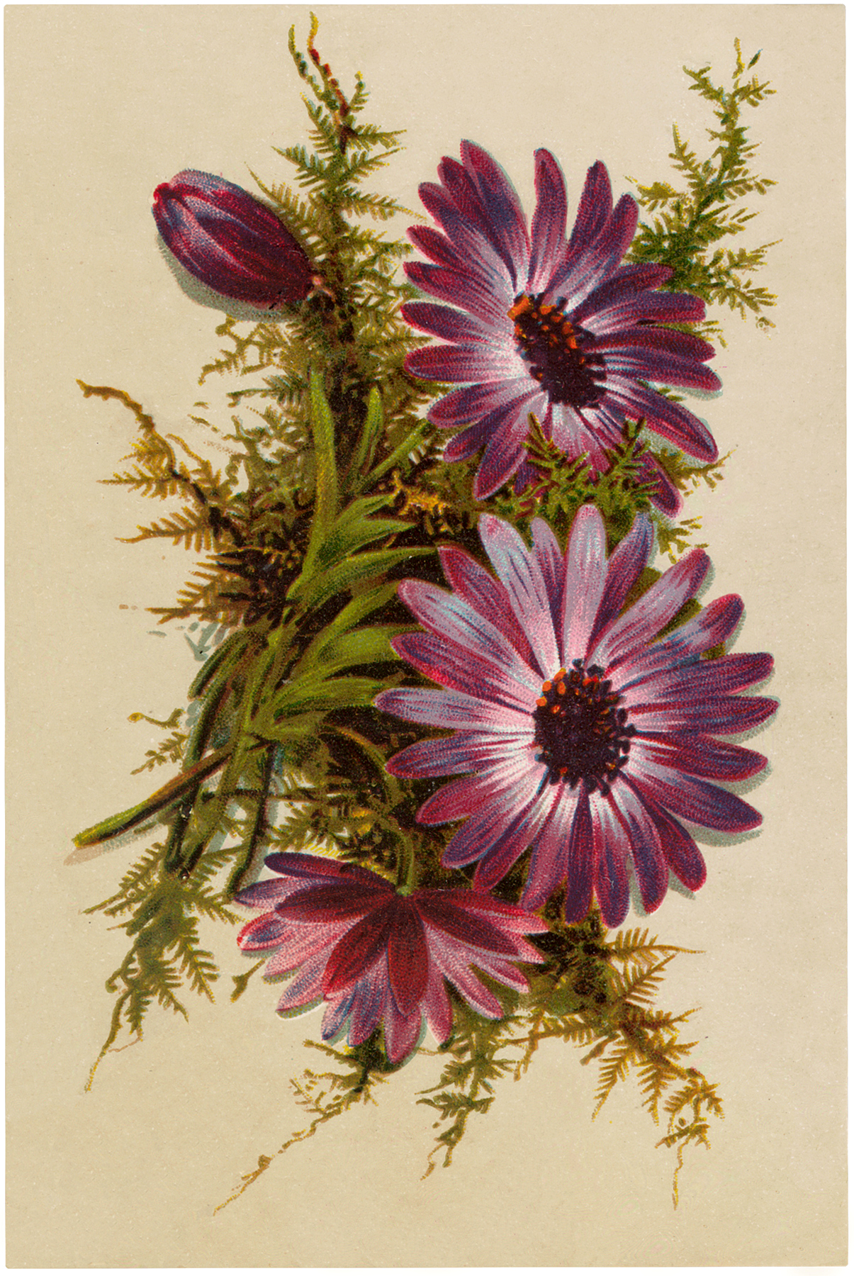 Pretty Purple Flowers Image - The Graphics Fairy
