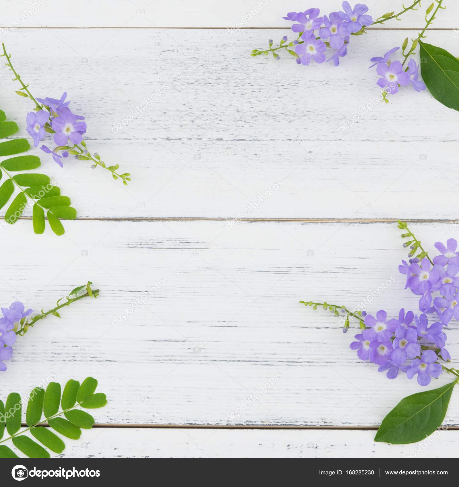 Purple flowers and green leaves on white wood — Stock Photo ...