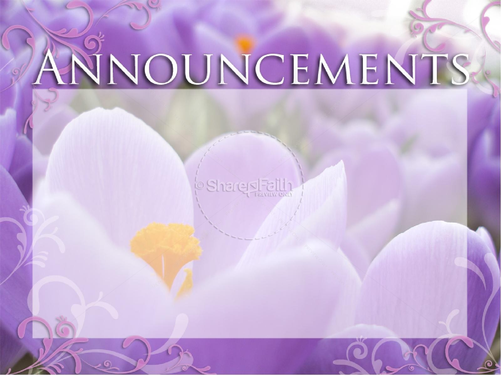 Announcements with Purple Flowers | PowerPoint Sermons