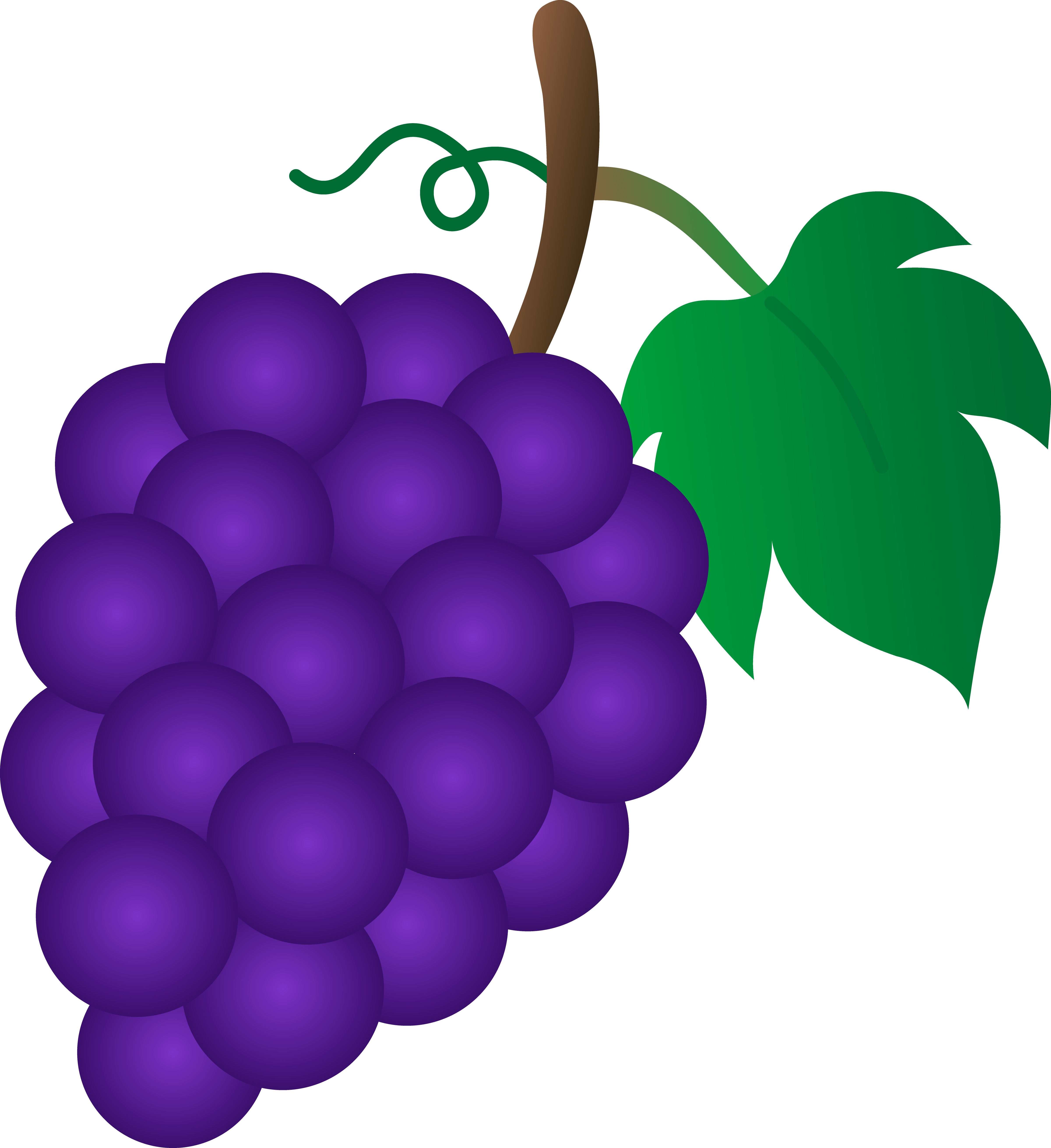 Bunch of Purple Grapes - Free Clip Art