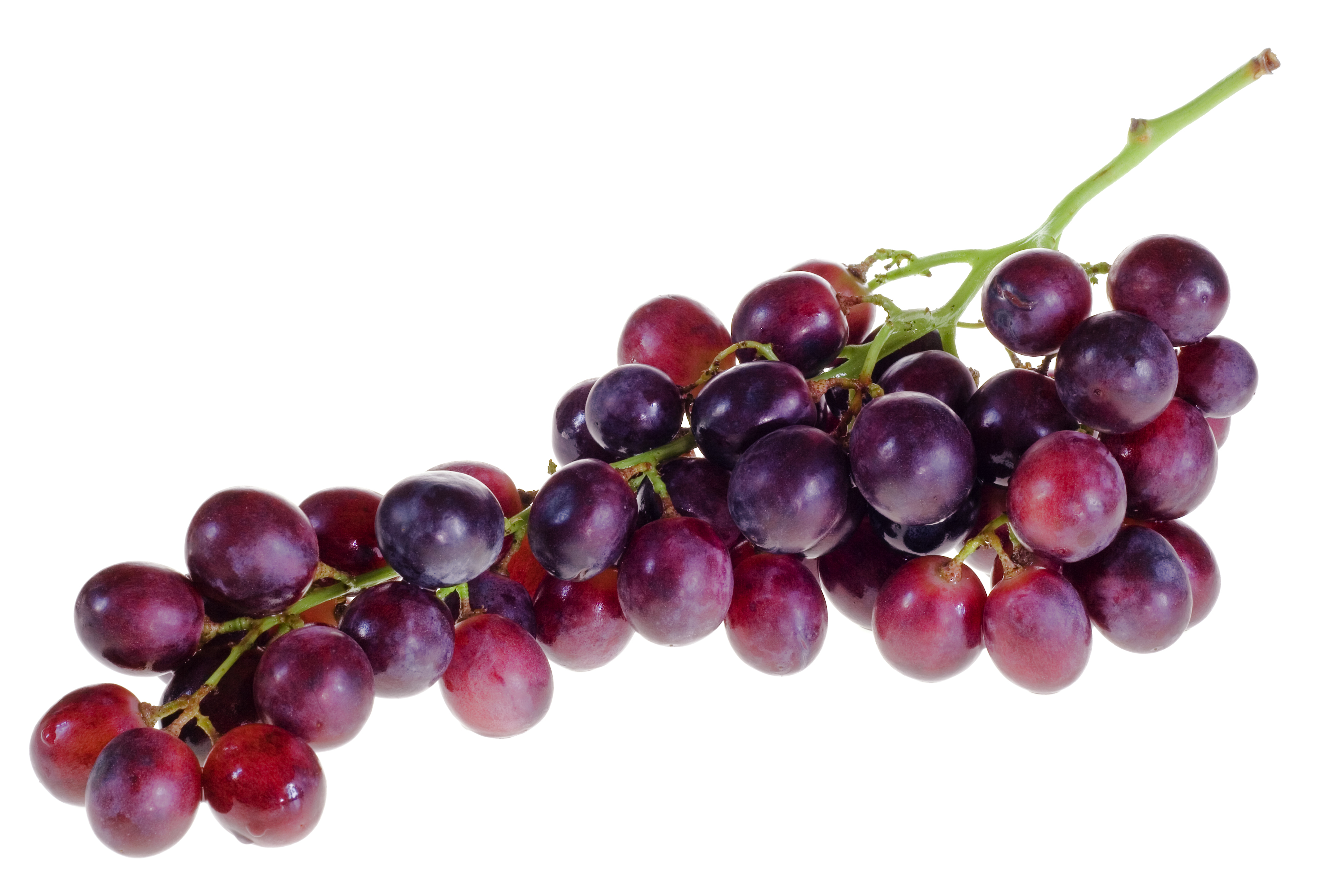 Purple grapes photo