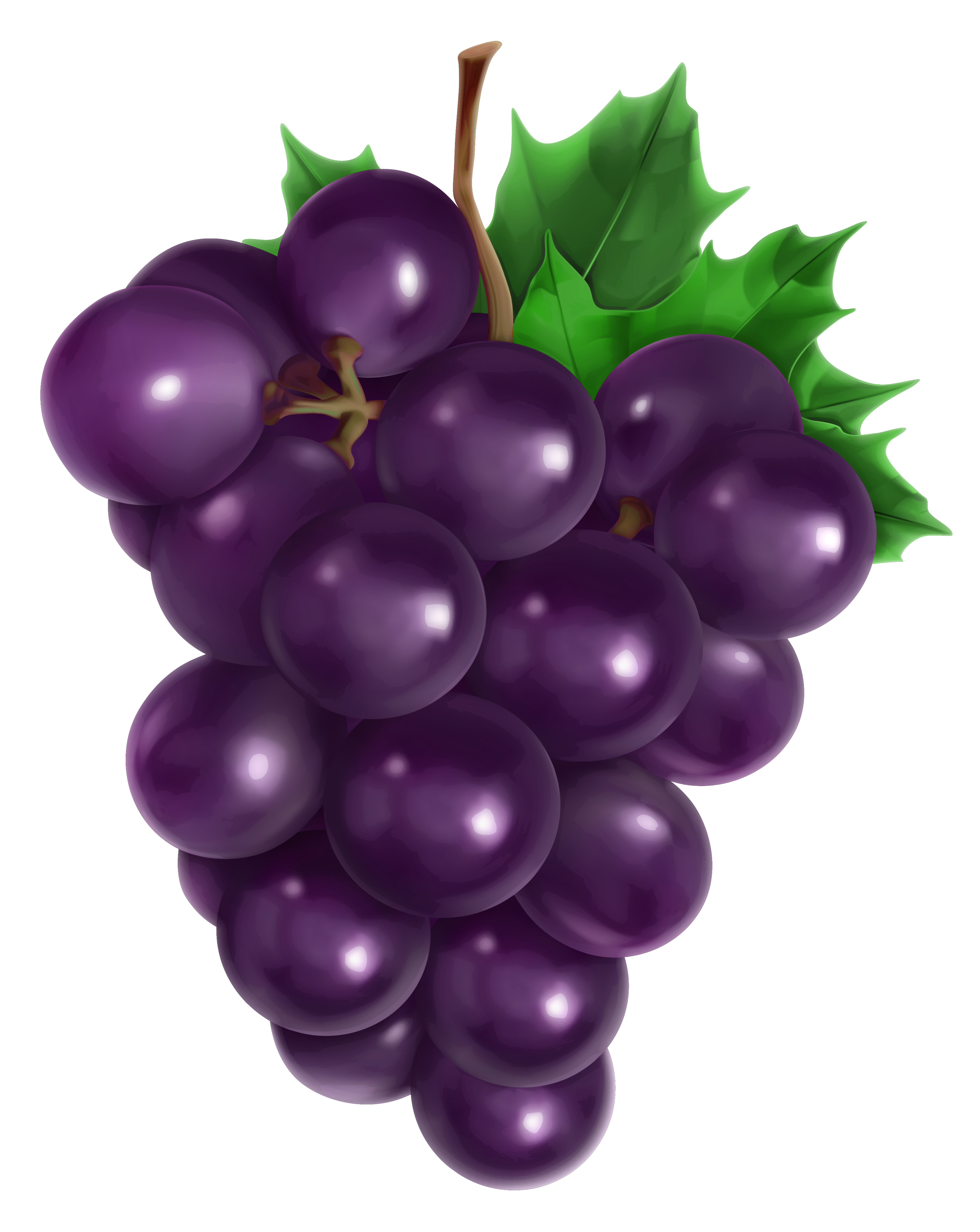 Transparent Grape PNG Clipart Picture | Gallery Yopriceville - High ...