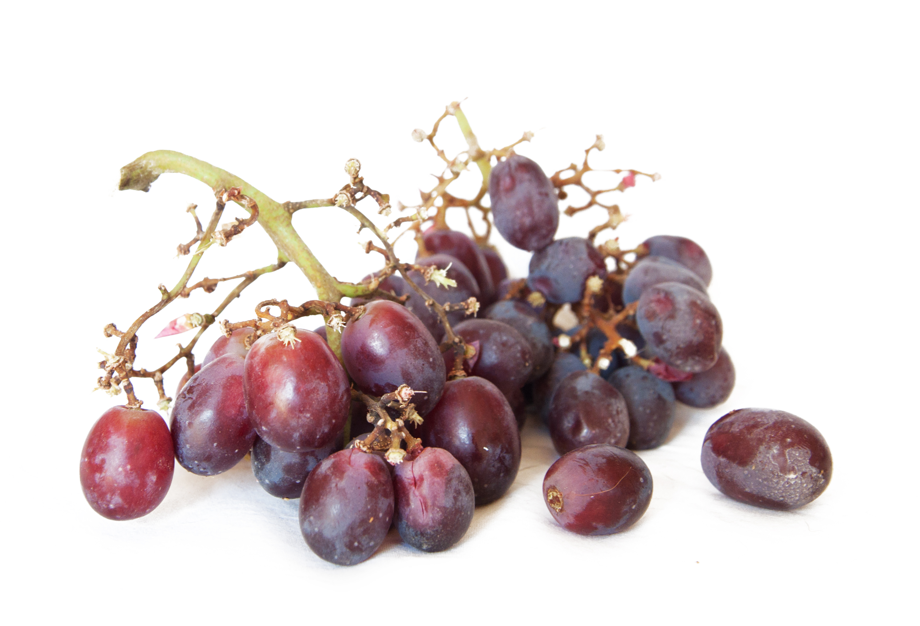Purple grapes photo