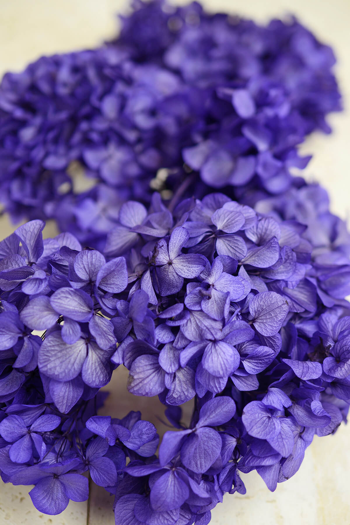 Preserved Purple Hydrangeas Sprays, 3 Flowers