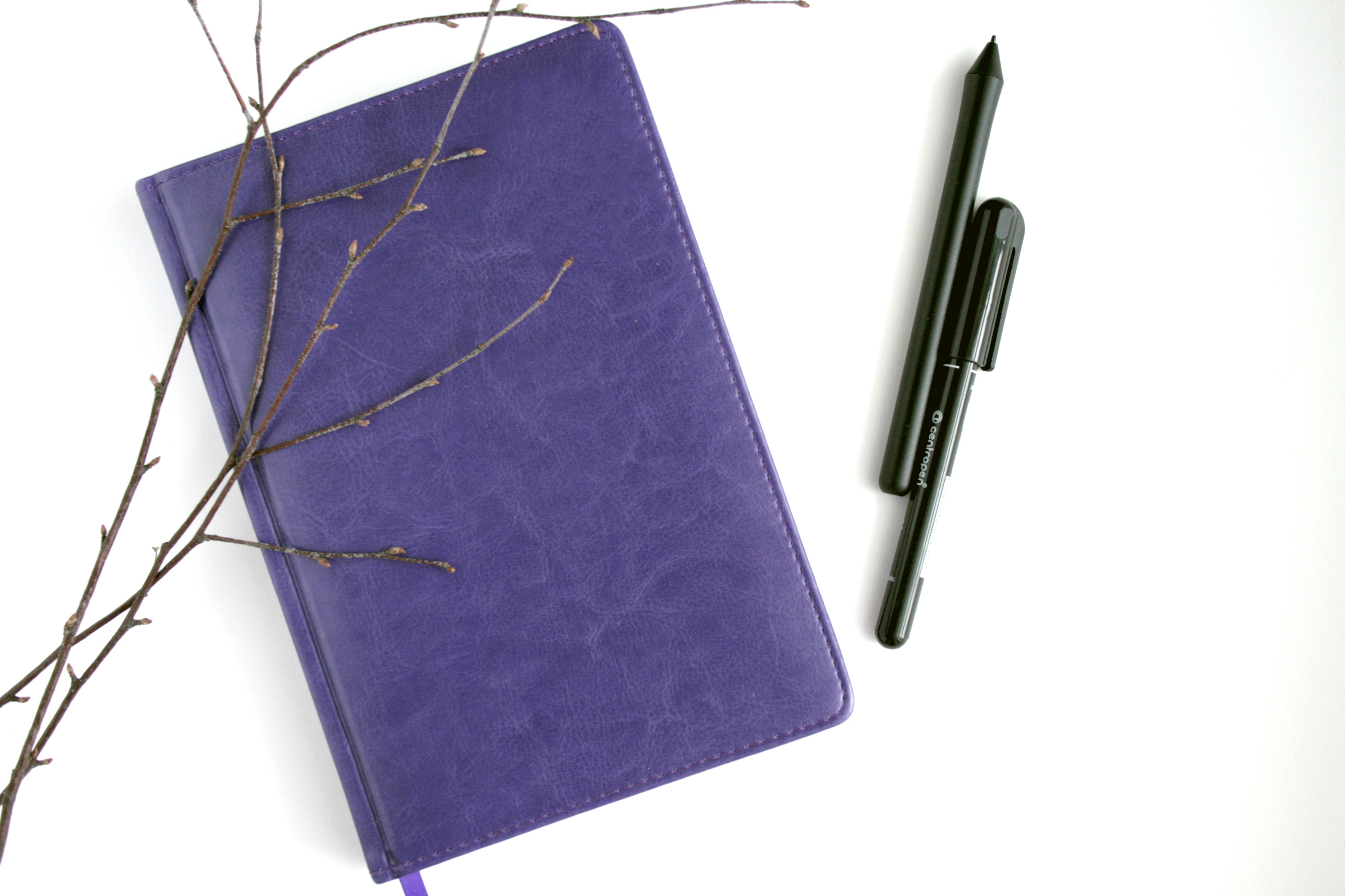 Purple leather notebook, black pen, and brown branches photo