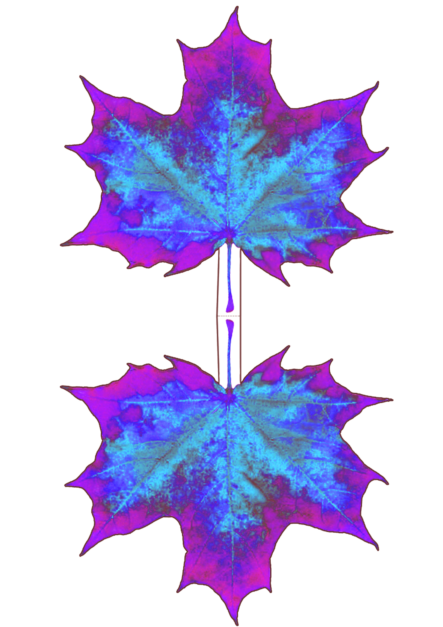 Purple and Blue Maple Leaf Decoration | Rooftop Post Printables