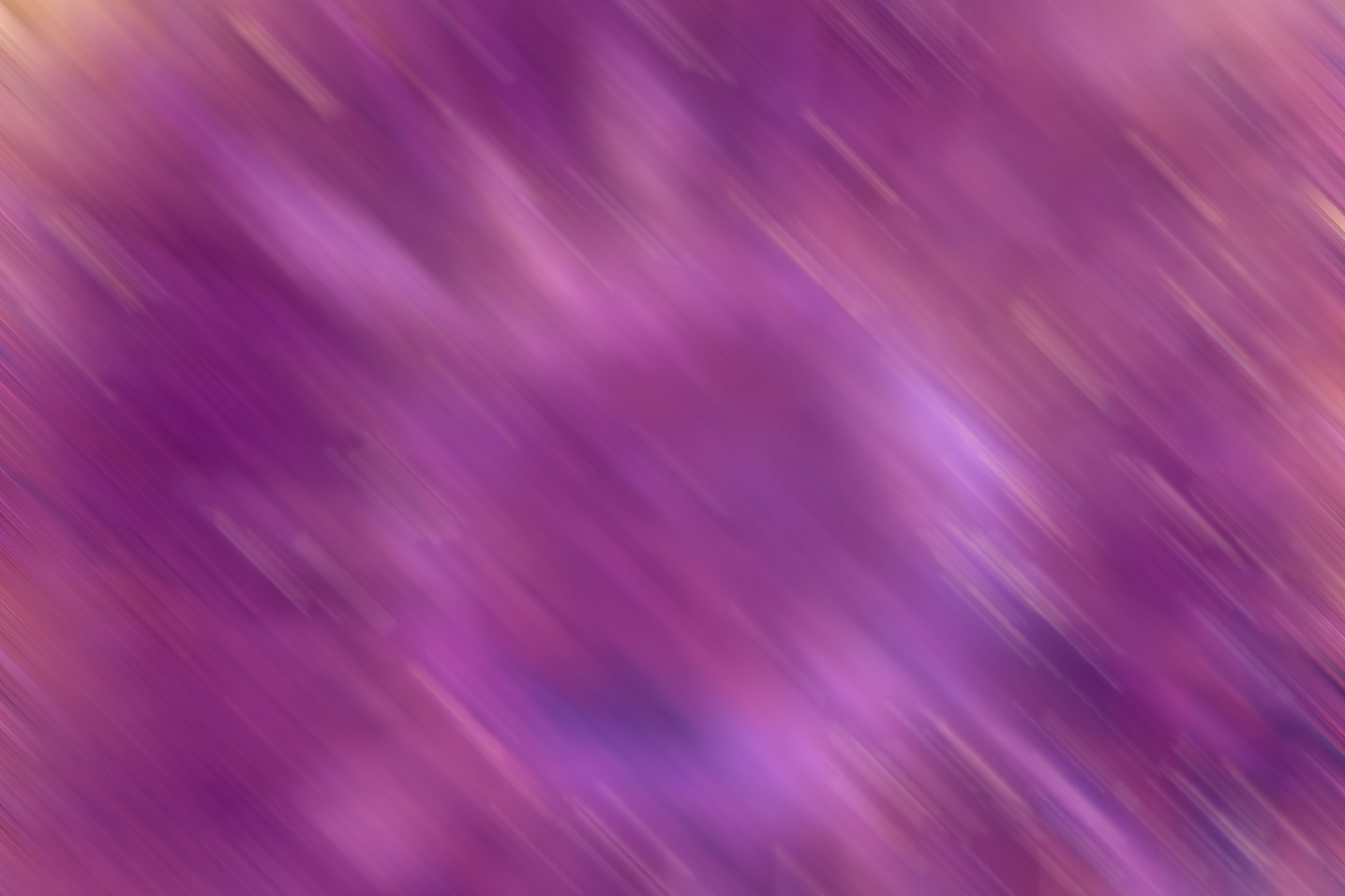 Purple motion blur, Abstract, Line, Streak, Smooth, HQ Photo