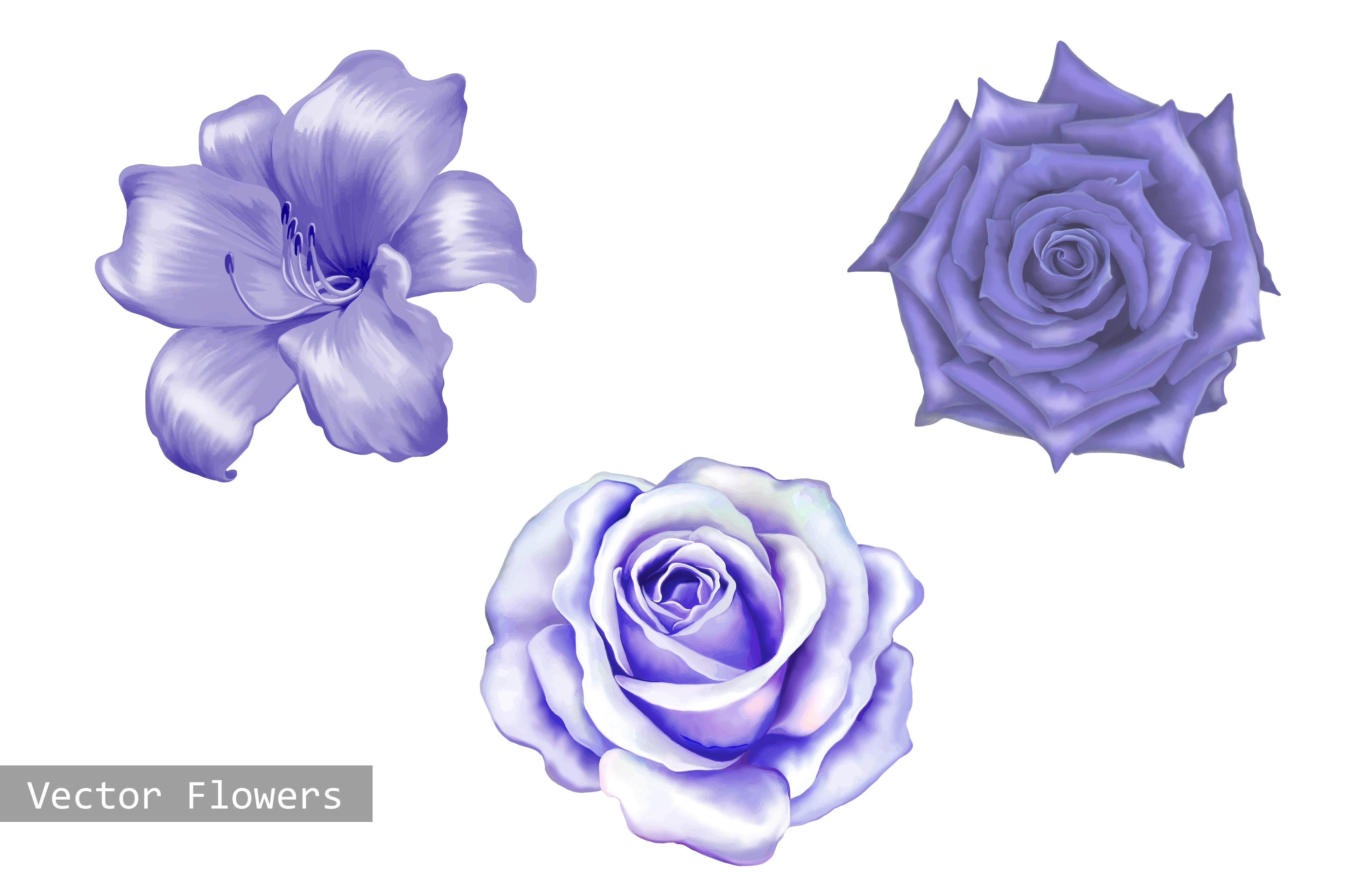 Purple Lily and Rose flowers. Vector ~ Objects ~ Creative Market