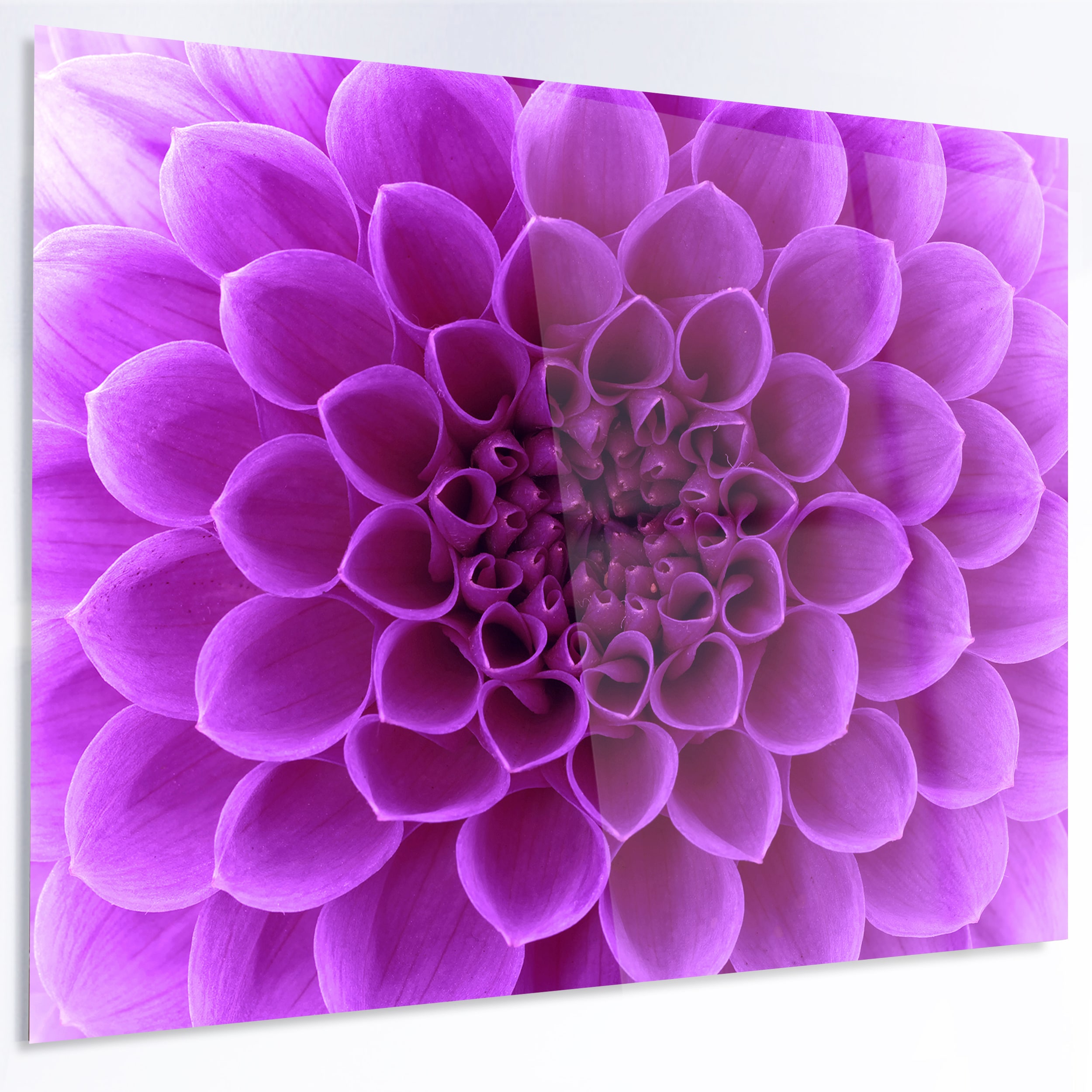 Designart 'Light Purple Abstract Flower Petals' Modern Floral Metal ...