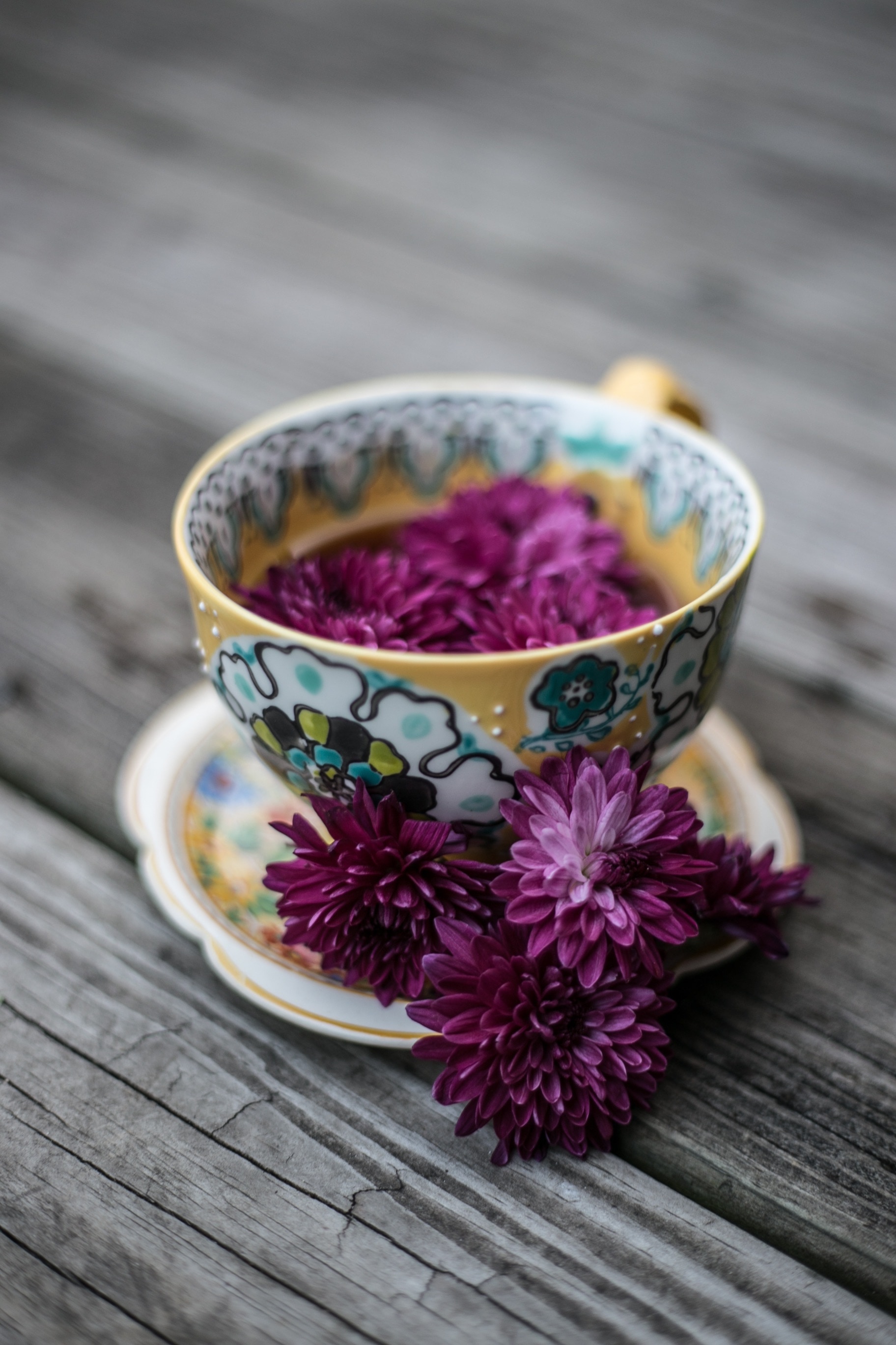 white and yellow ceramic cup with purple petaled flower in int free ...