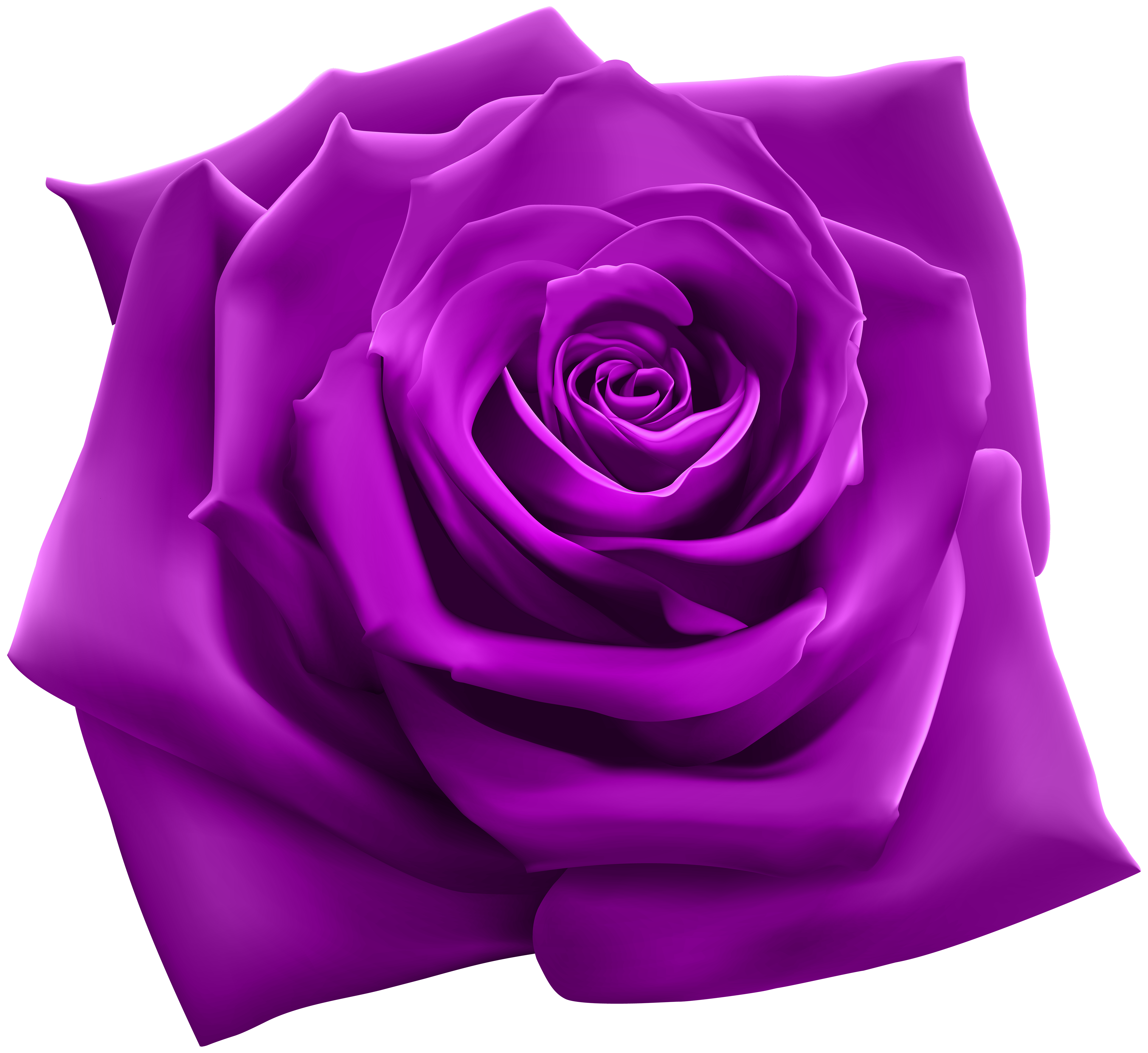 Purple Rose PNG Clipart Image | Gallery Yopriceville - High-Quality ...