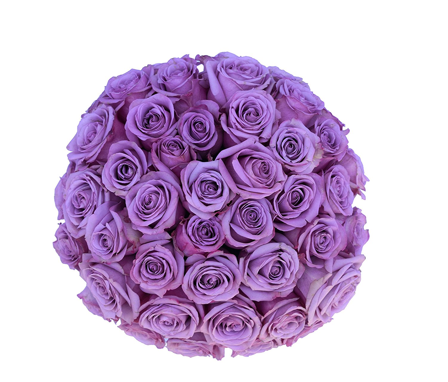 Amazon.com : 2 Dozen Farm Fresh Purple Roses Bouquet By ...