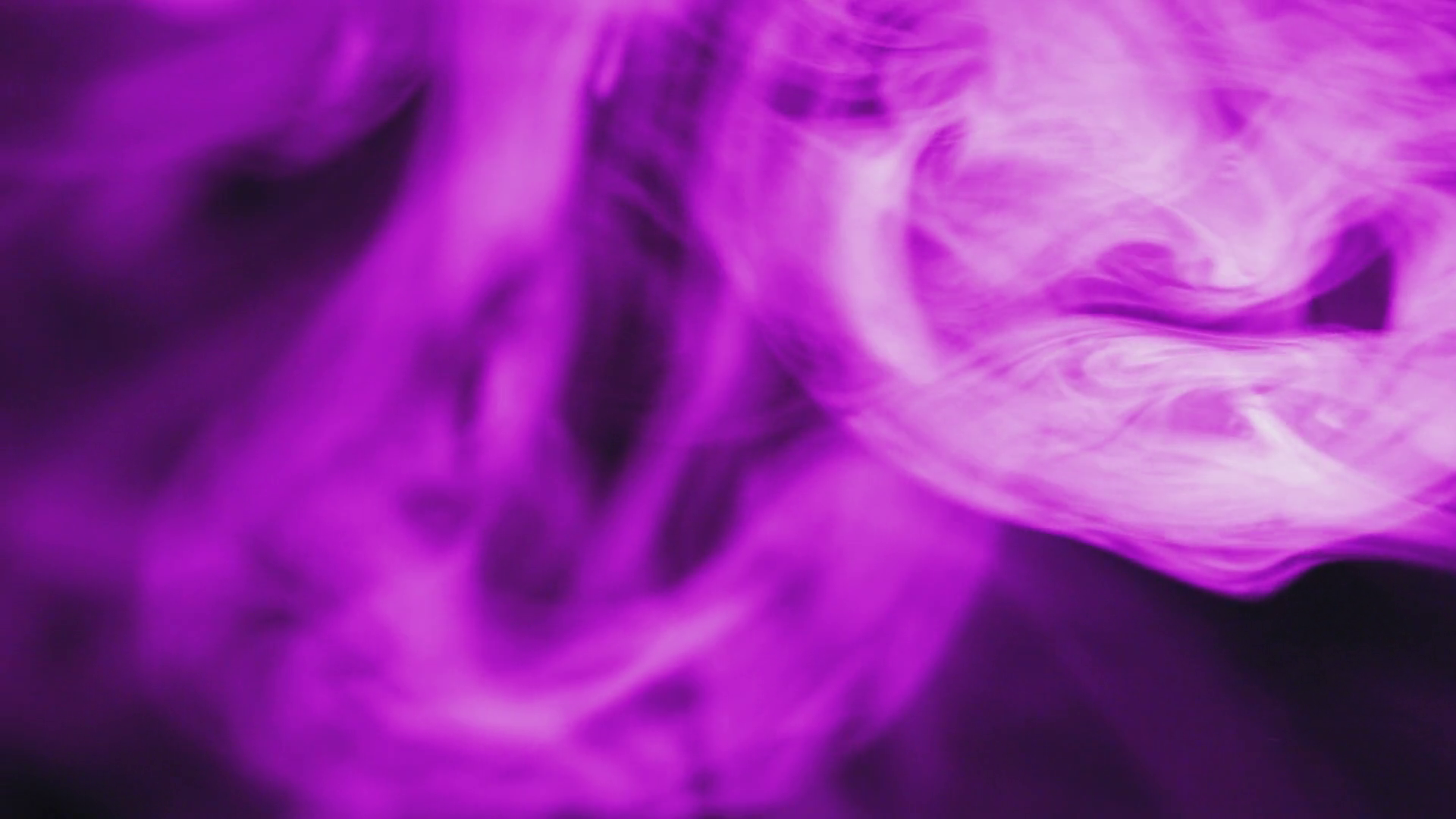 Violet smoke on white background Stock Video Footage - Videoblocks