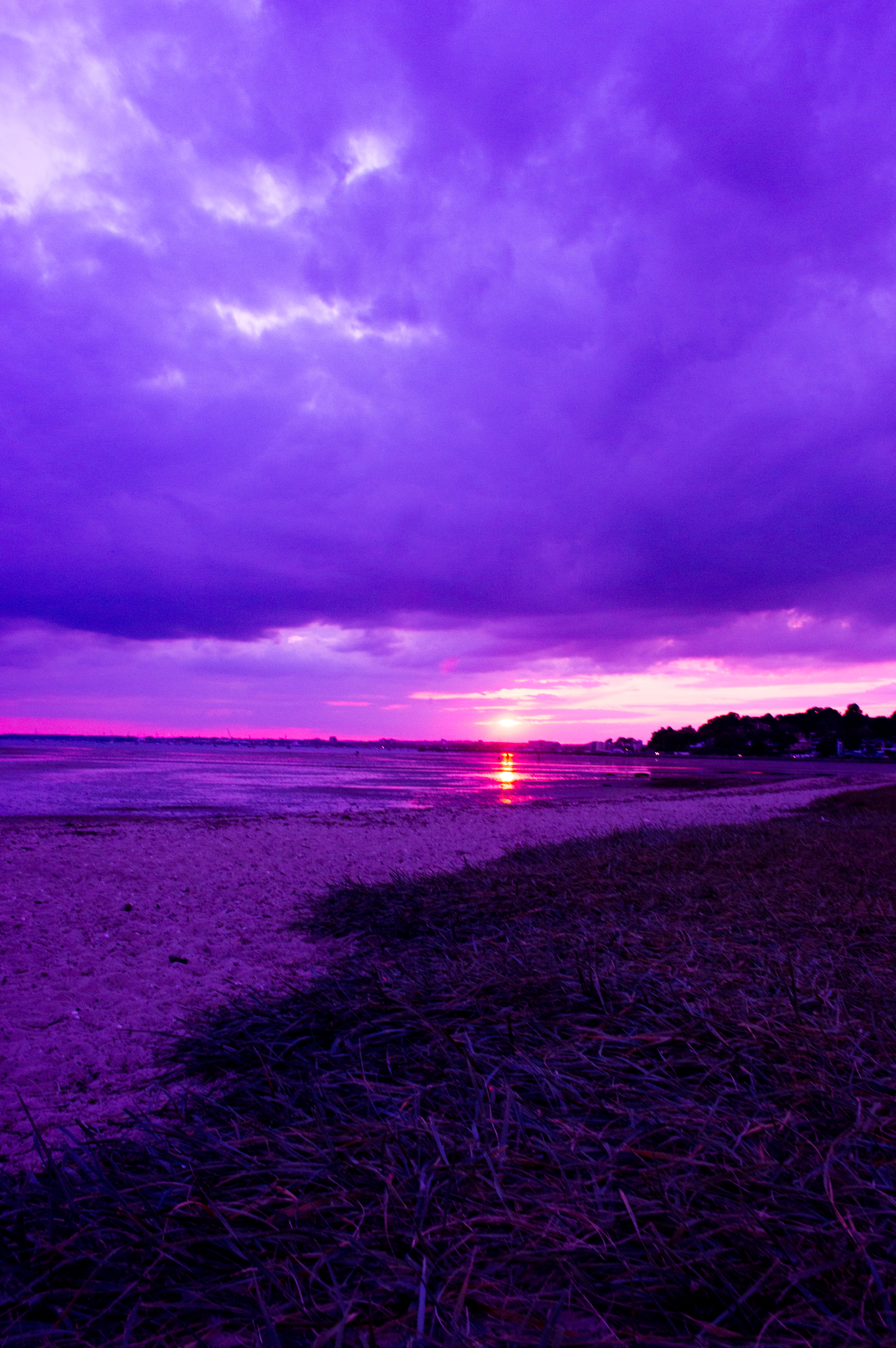 Purple Sunset. portrait purple sunset. 