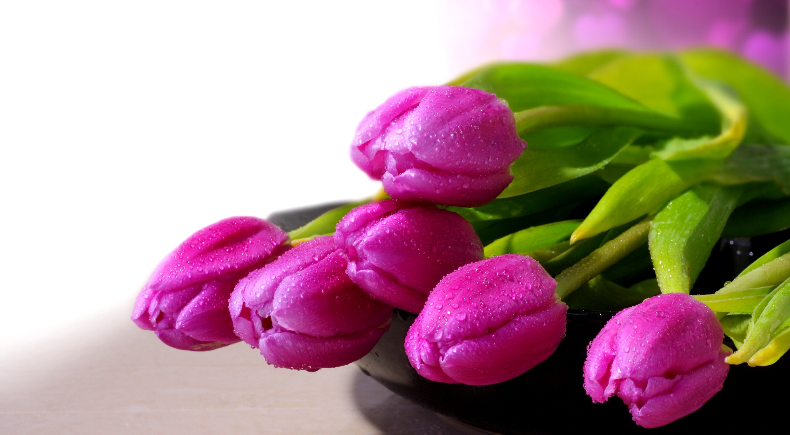 Flowers: Purple Tulips Photography Romantic Valentines Day Tulip ...