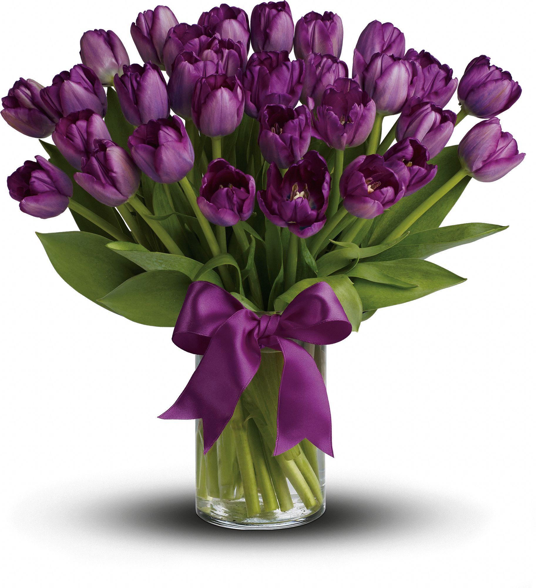 Passionate Purple Tulips Flowers, Passionate Purple Tulips Flower ...