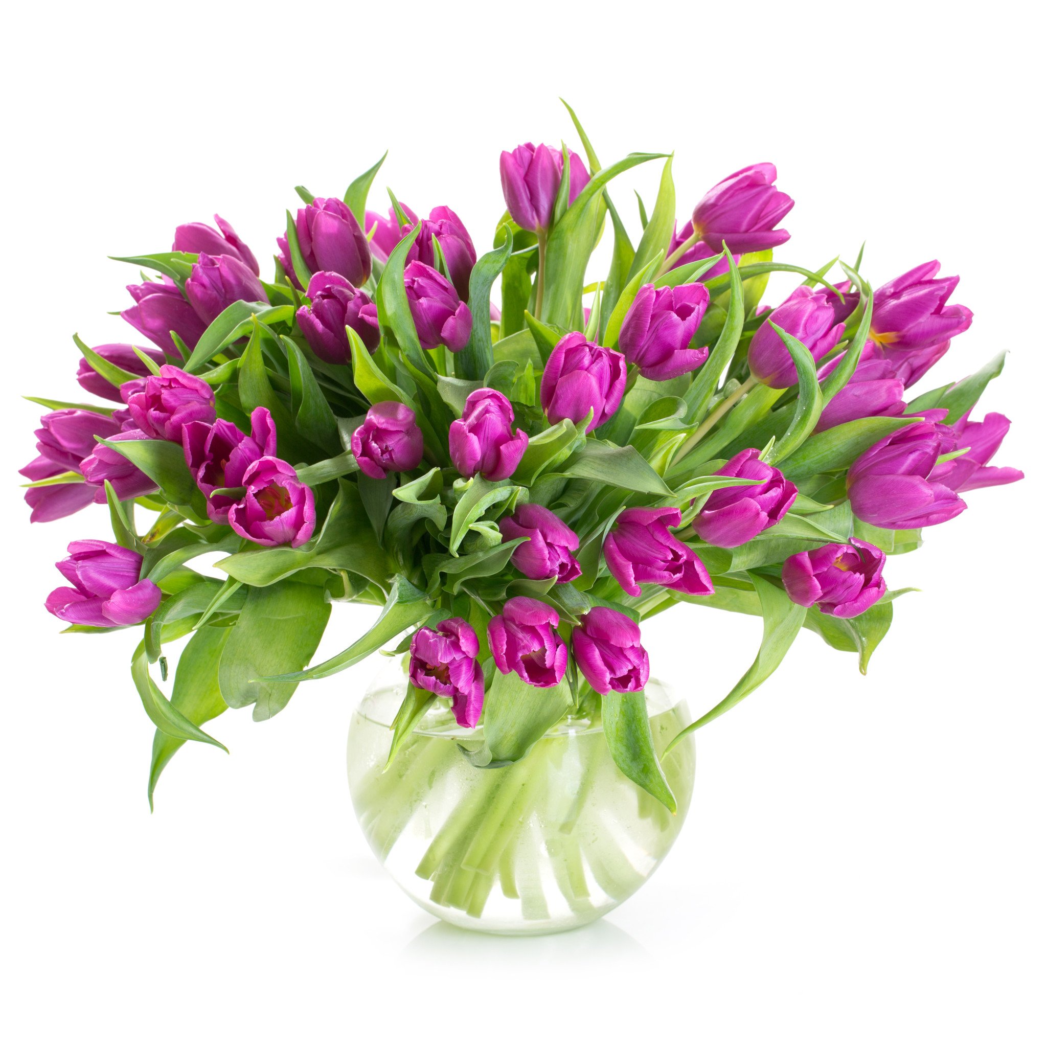 Purple tulips bouquet – Send Flowers Riga
