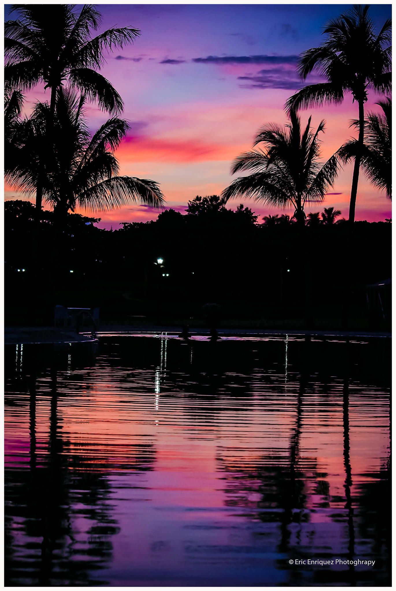 sunset purple red palms water reflection beautiful ...
