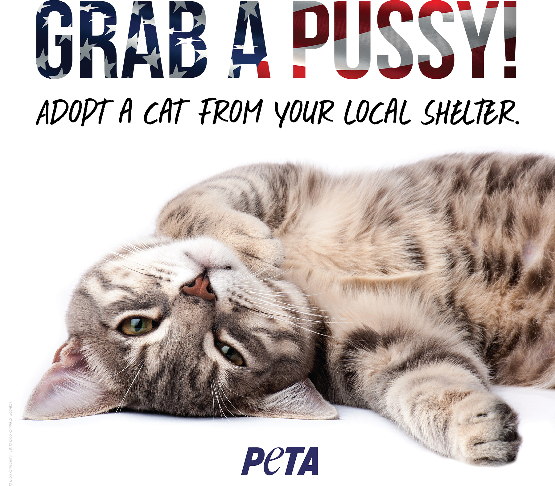 PETA Debuts 'Grab a Pussy' Cat Campaign After Trump Tape