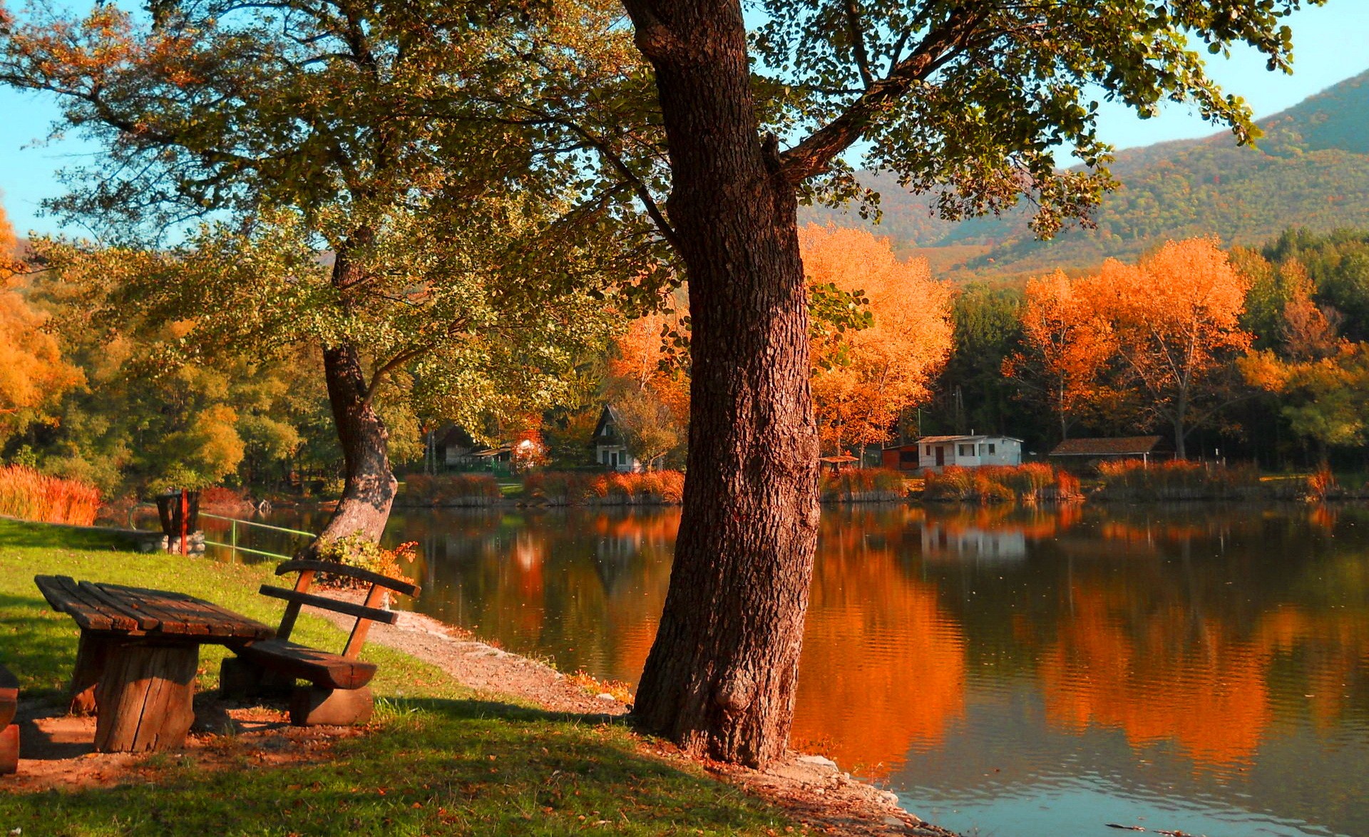 Lakes: Beautiful Village Lake View Trees Leaves Pond Rest Calmness ...
