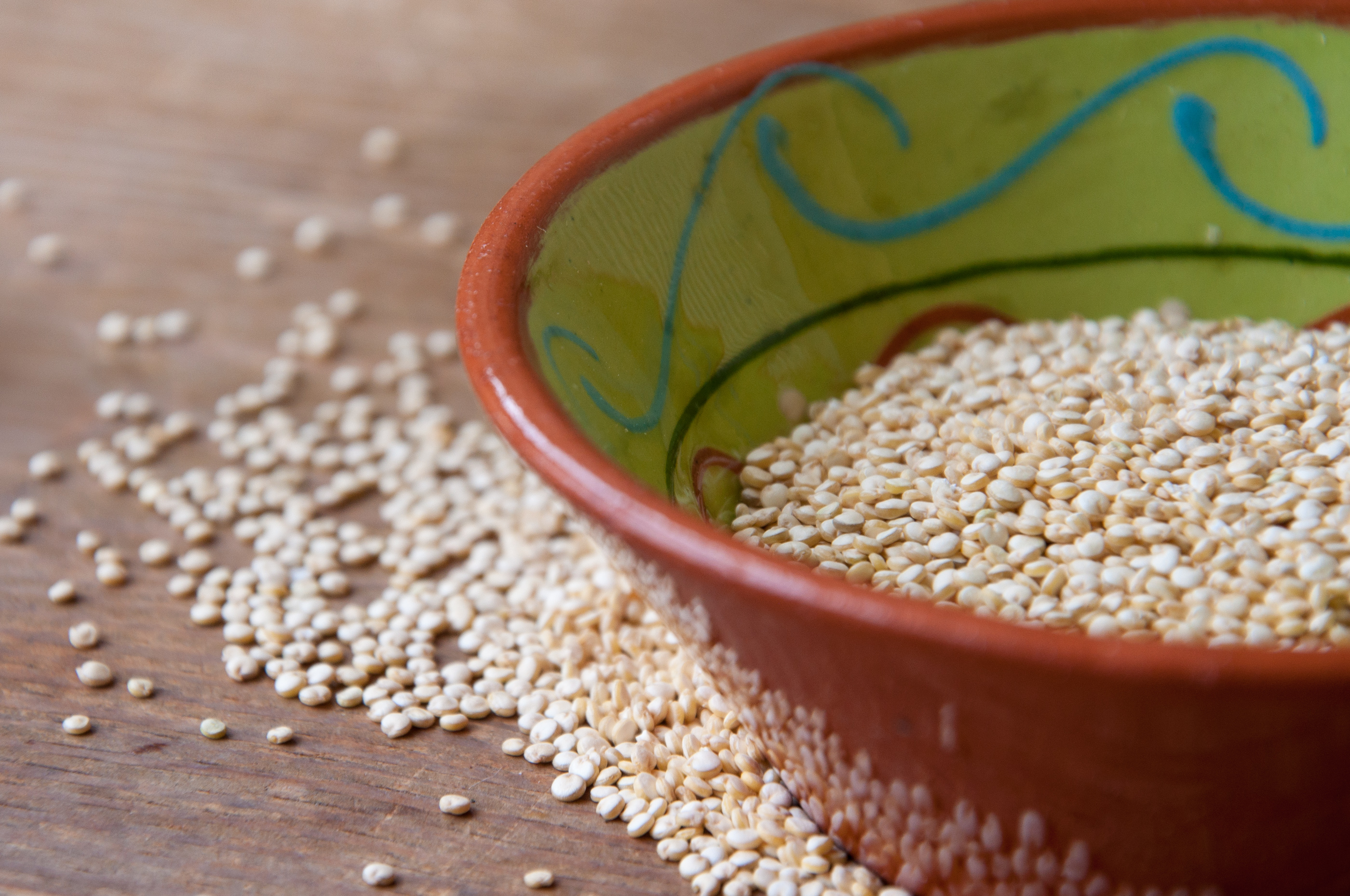 Free photo: Quinoa - Boiled, Seed, Organic - Free Download - Jooinn