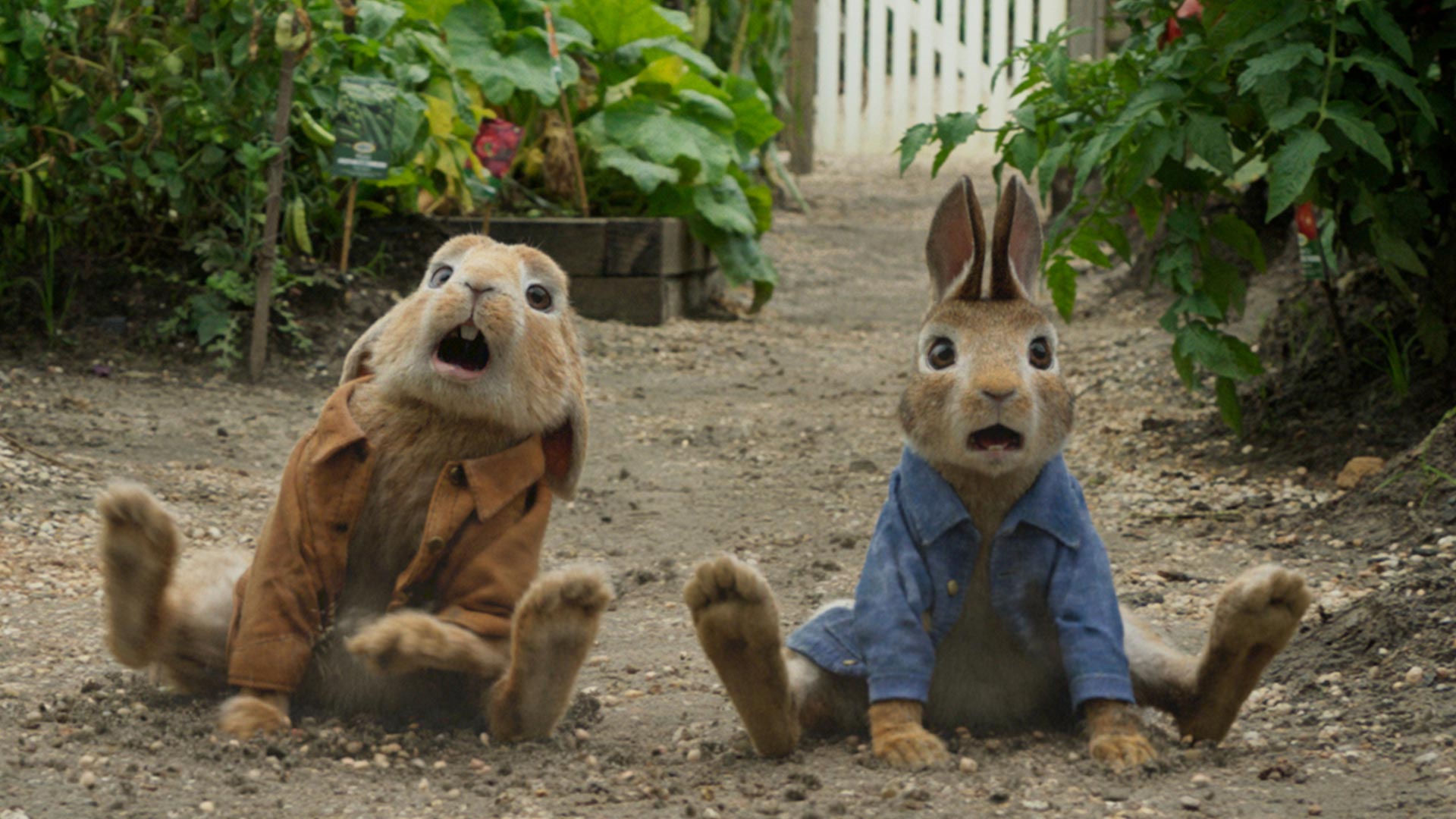 Peter Rabbit review | Movies For Kids