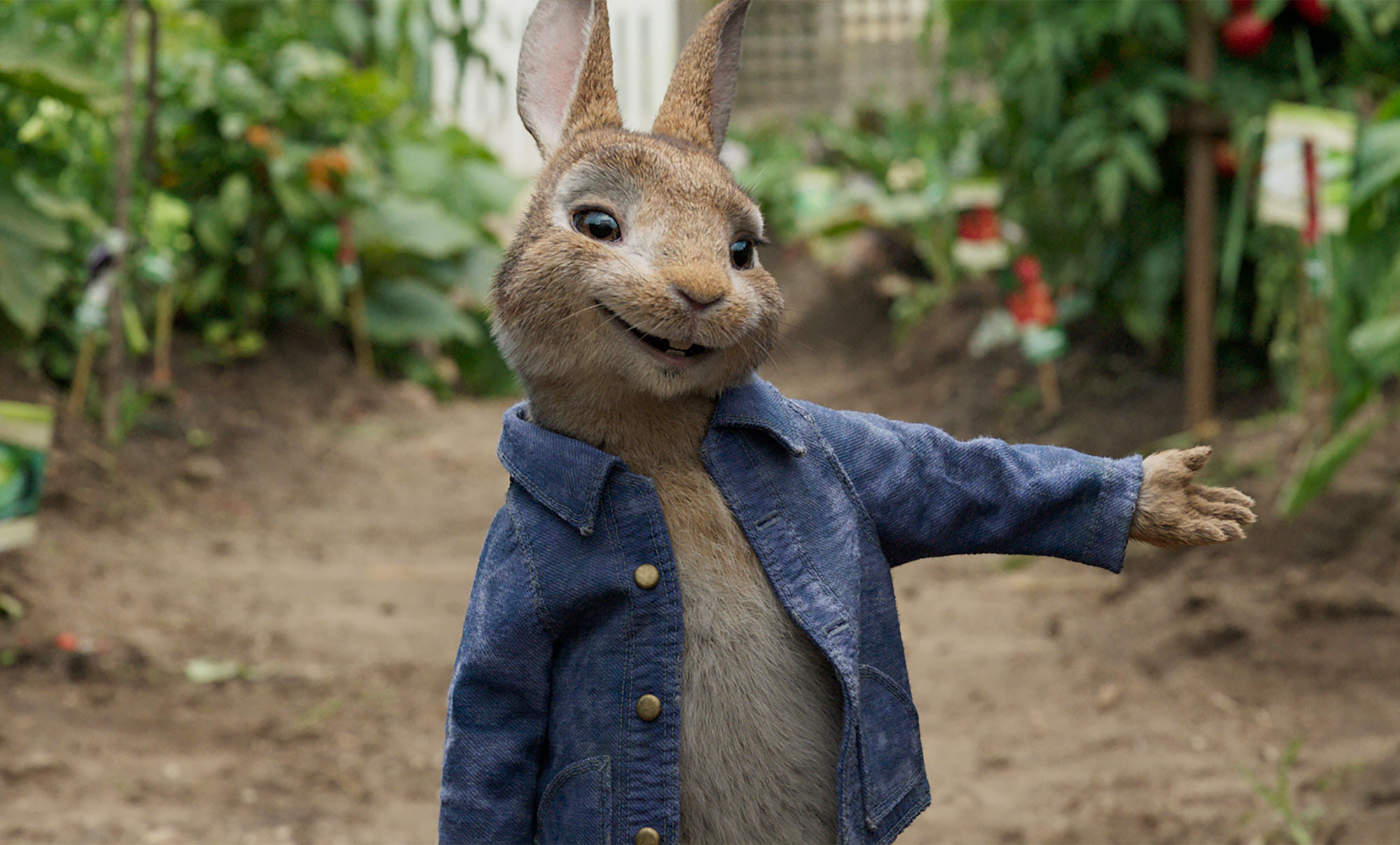 Peter Rabbit's Food Allergy Scene Prompts Apology from Sony Pictures ...