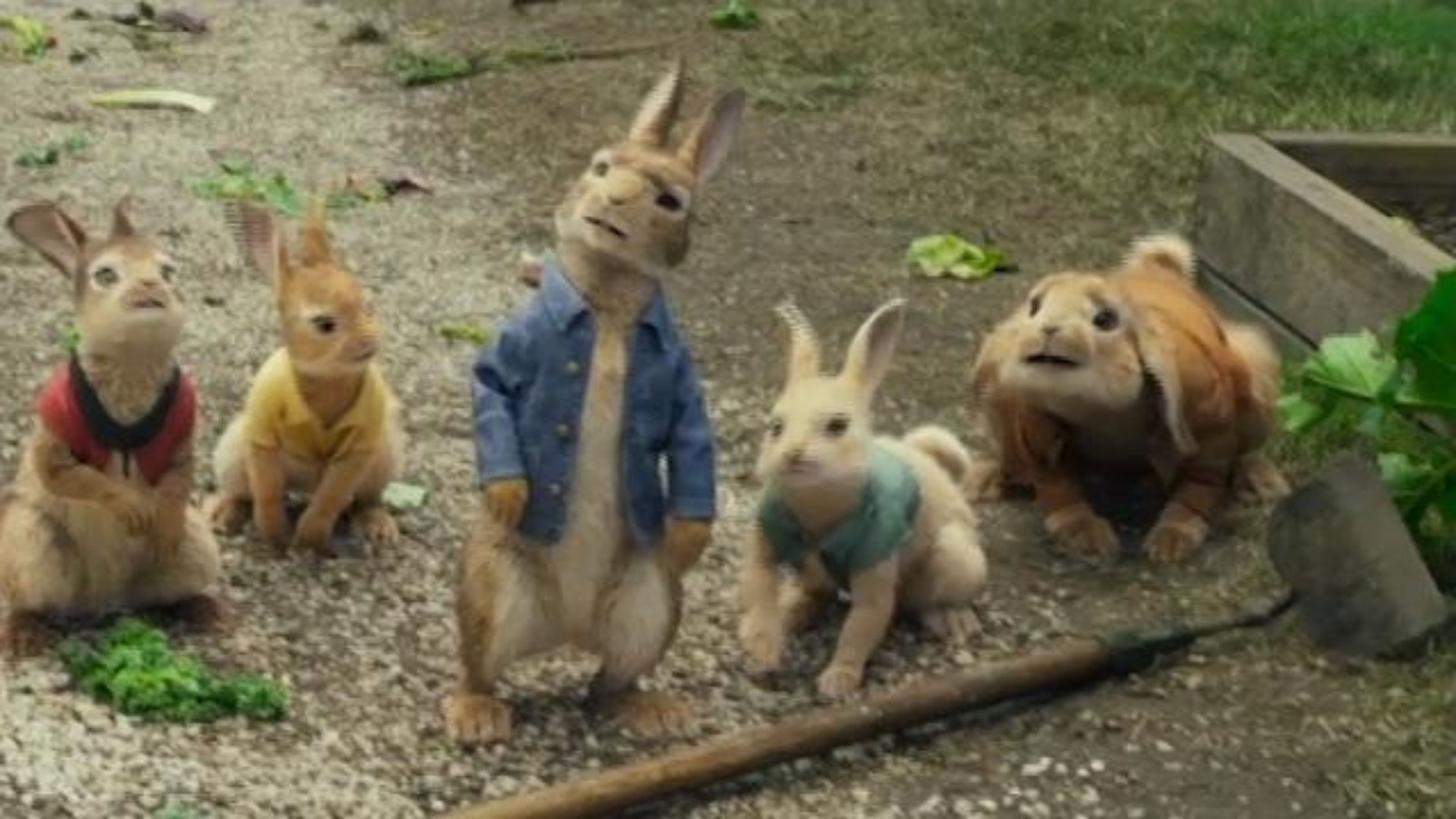 Peter Rabbit' stars Domhnall Gleeson and Rose Byrne talk children's ...