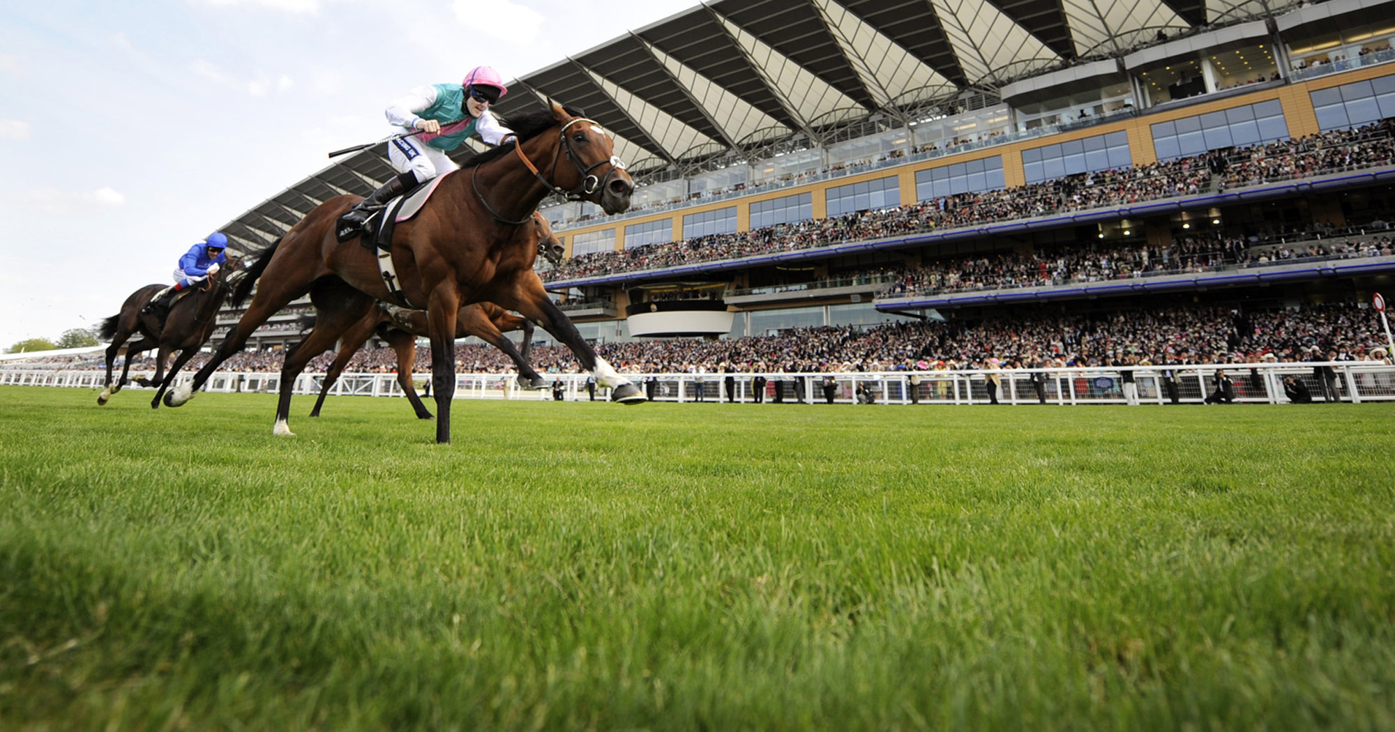 Image - Ascot racecourse frankel 0.jpg | People Don't Have to Be ...