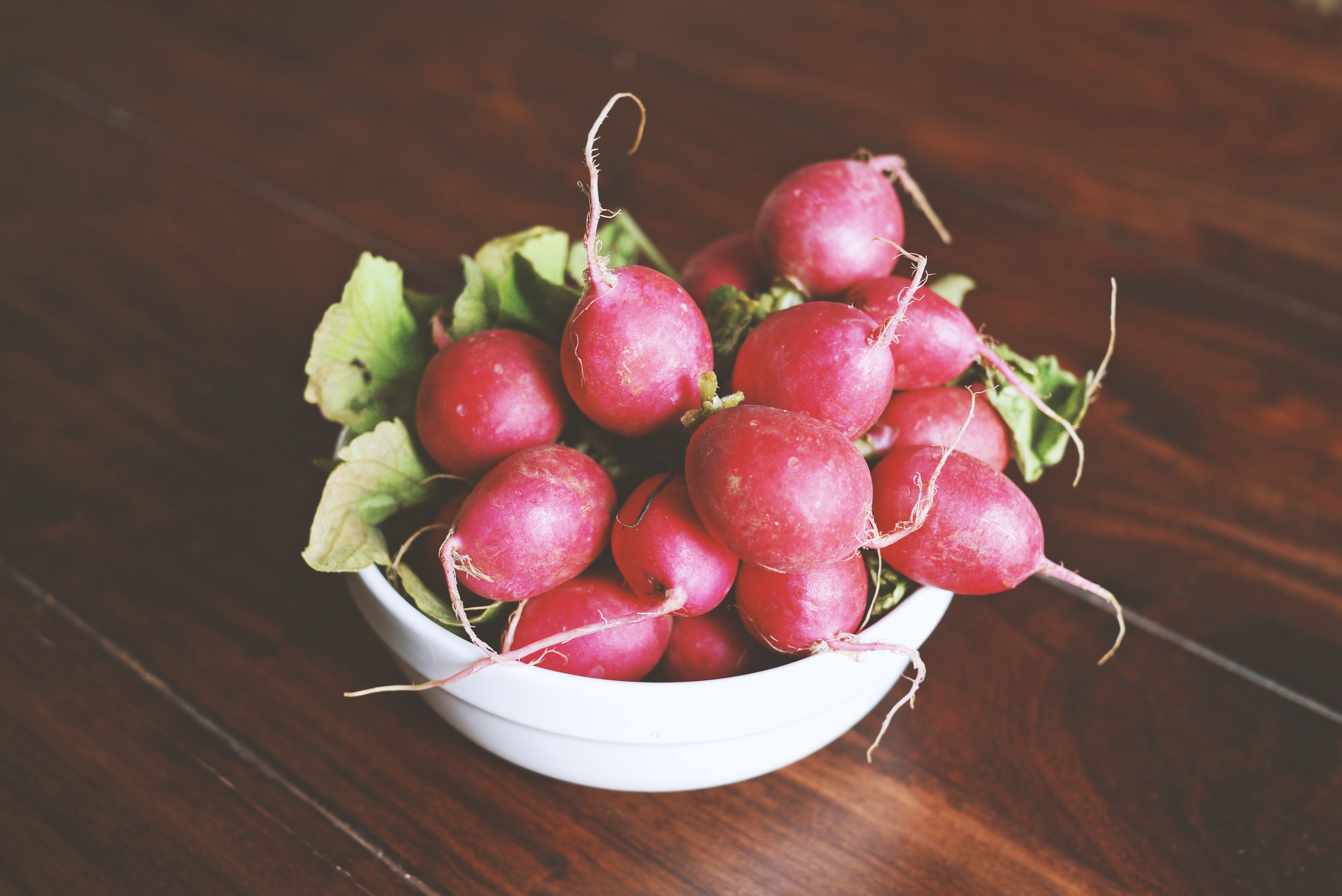 Radishes in a bowl photo