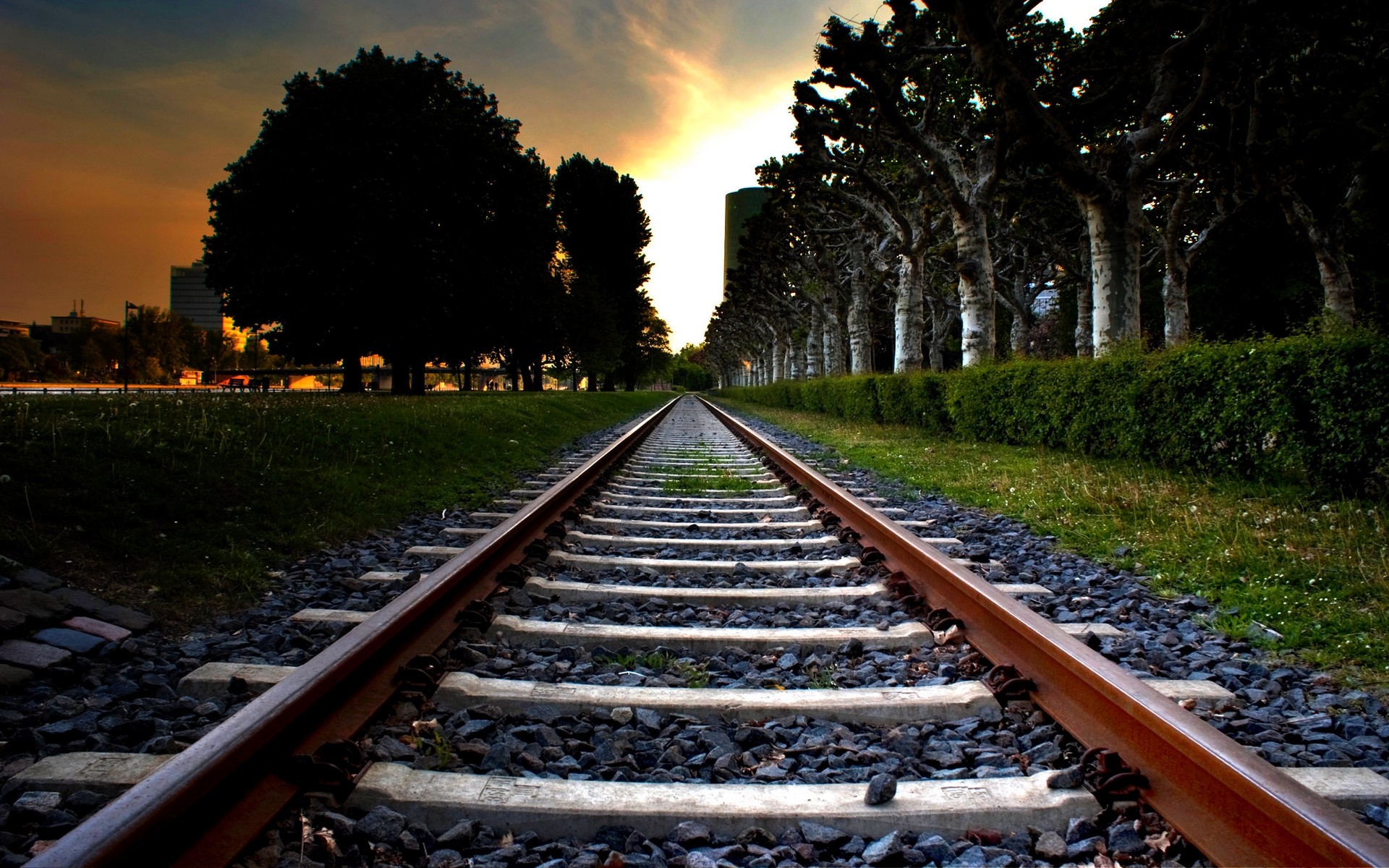 Other: Railroad Tracks Sunset Trees Alley Track Photo for HD 16:9 ...
