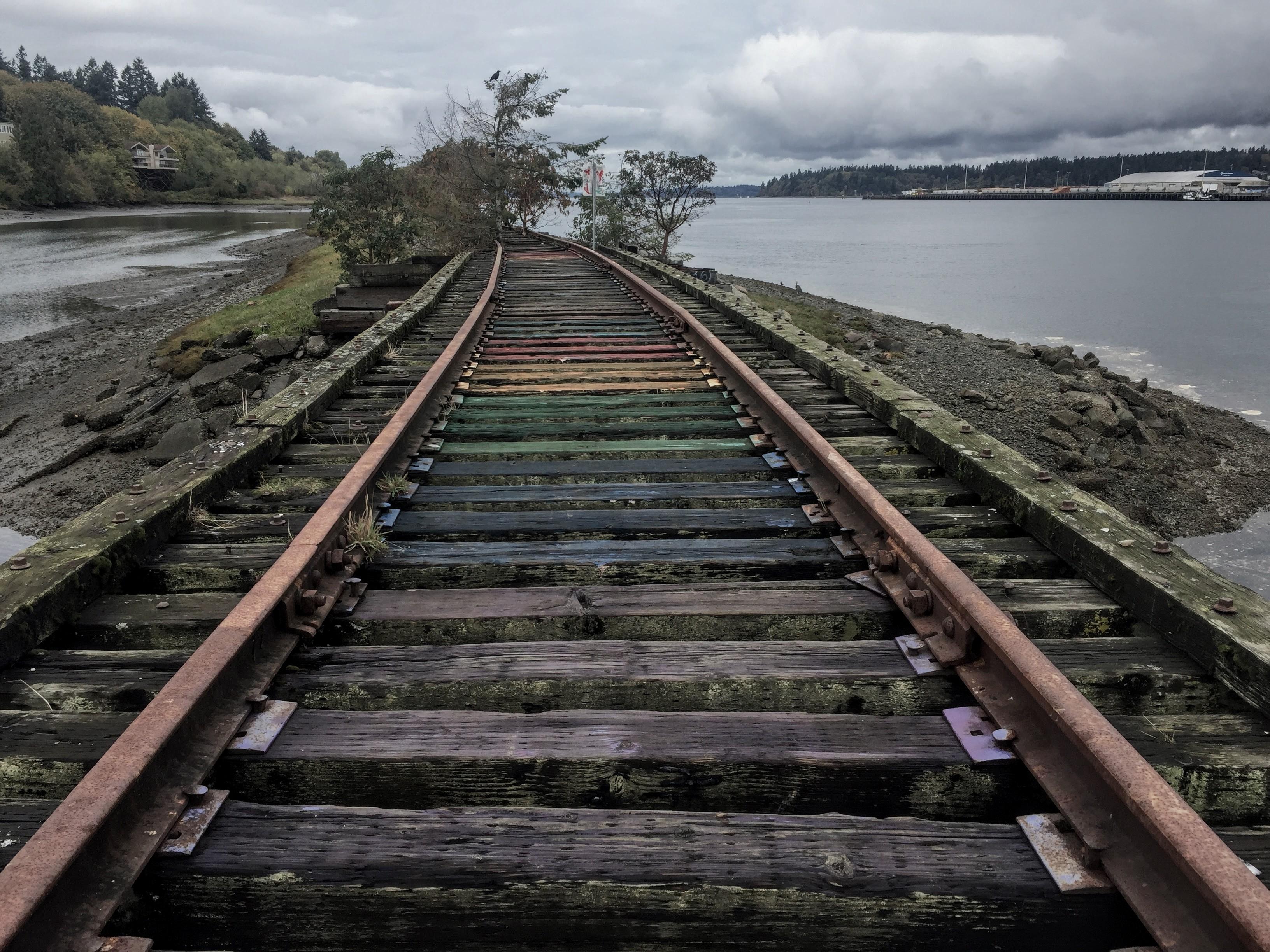 Abandoned Railroad Tracks - Olympia, Washington [3264 x 2448 ...
