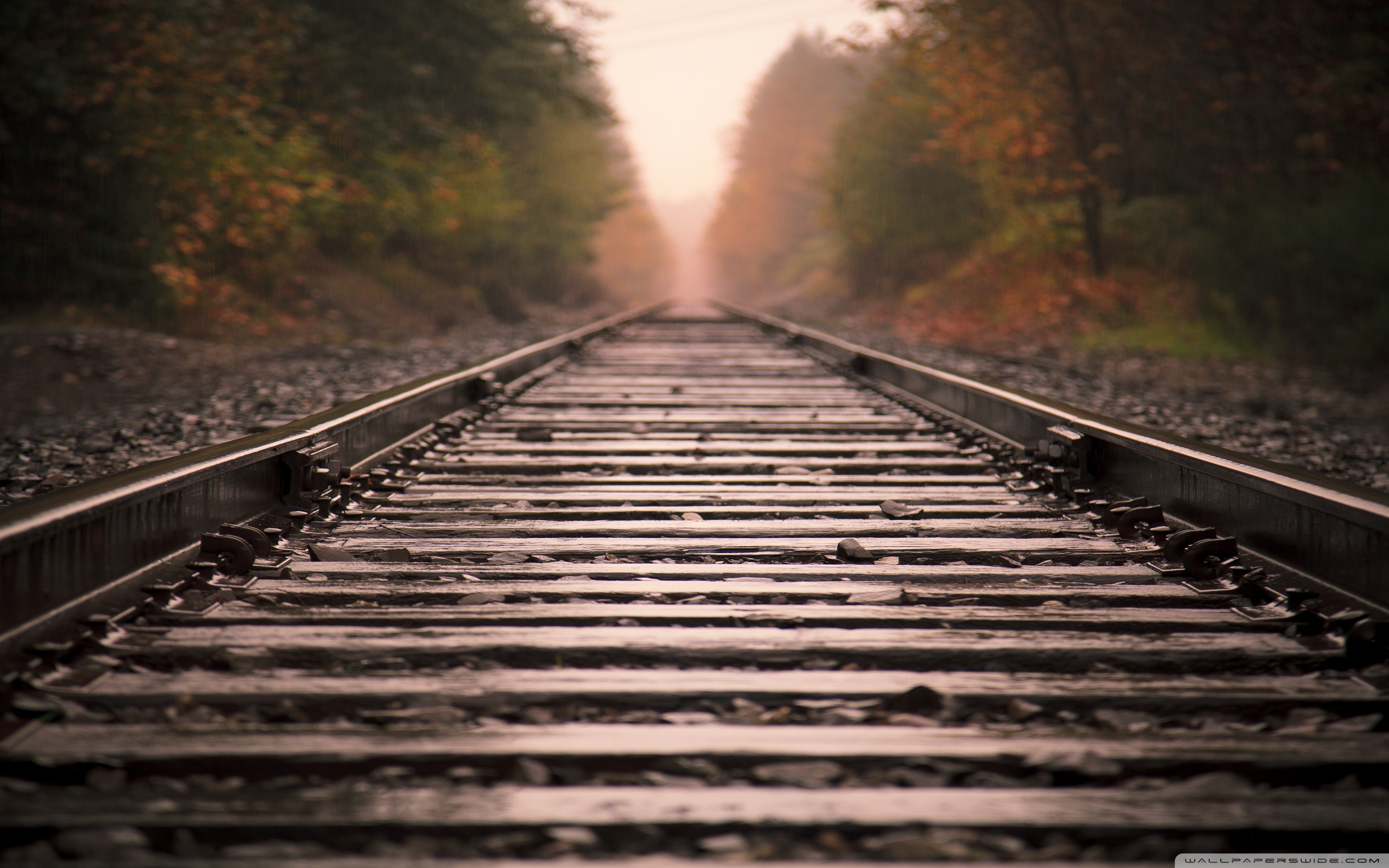 Railroad Tracks ❤ 4K HD Desktop Wallpaper for • Dual Monitor Desktops