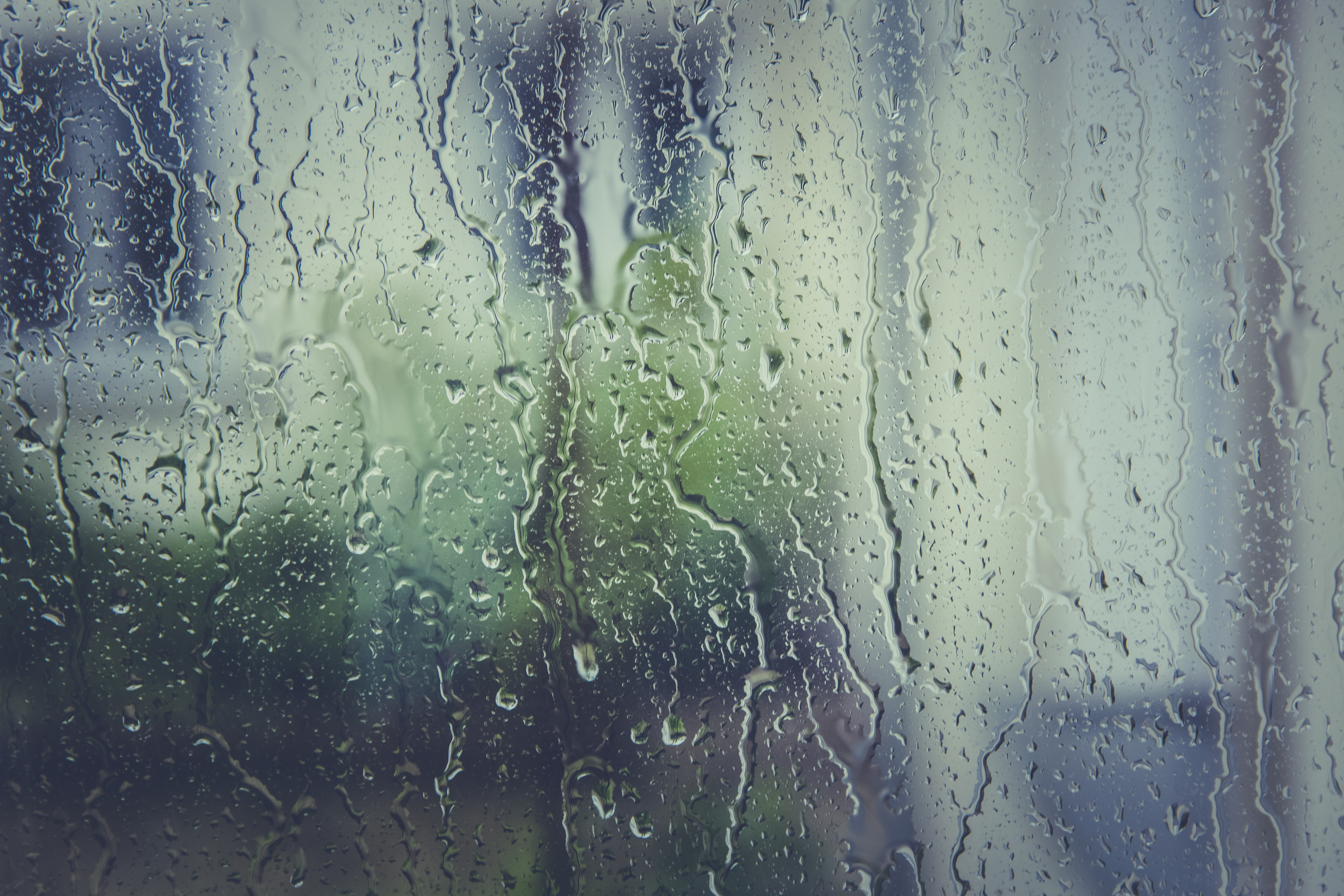 Free Images : water, sunlight, texture, rain, window, wet, green ...
