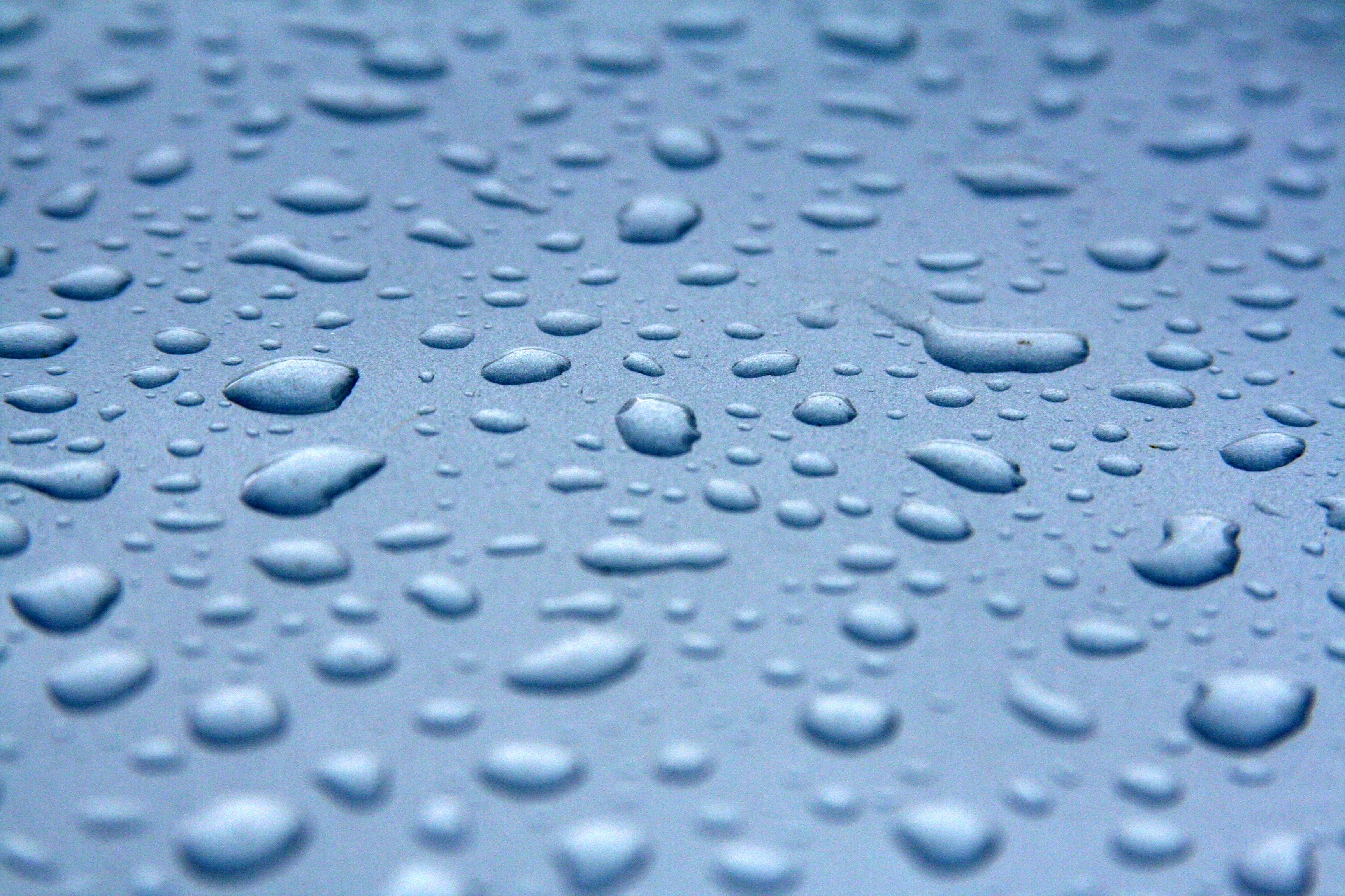 File:Raindrops (232823269).jpg - Wikimedia Commons