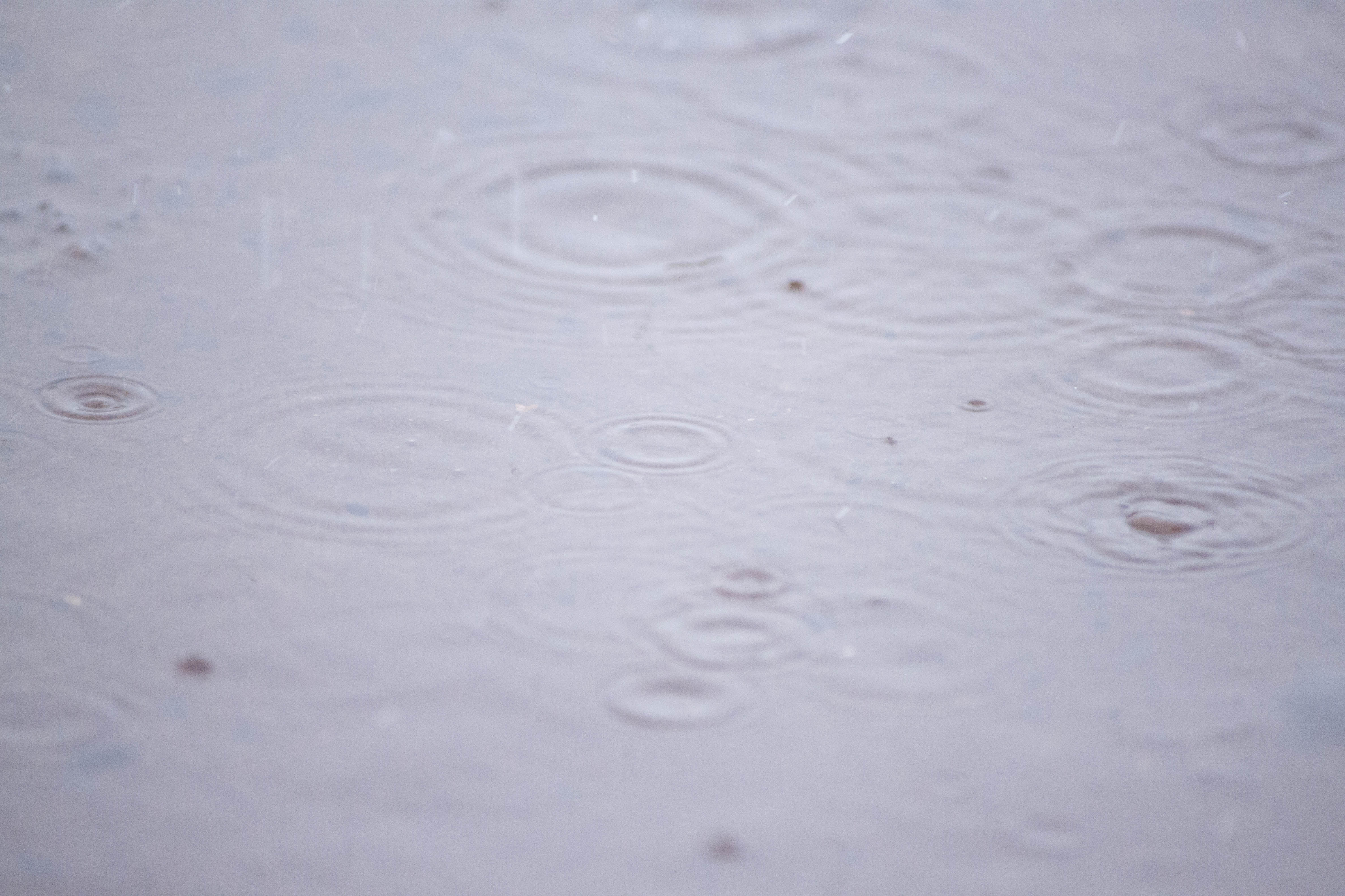 Rain drops on small water puddle photo