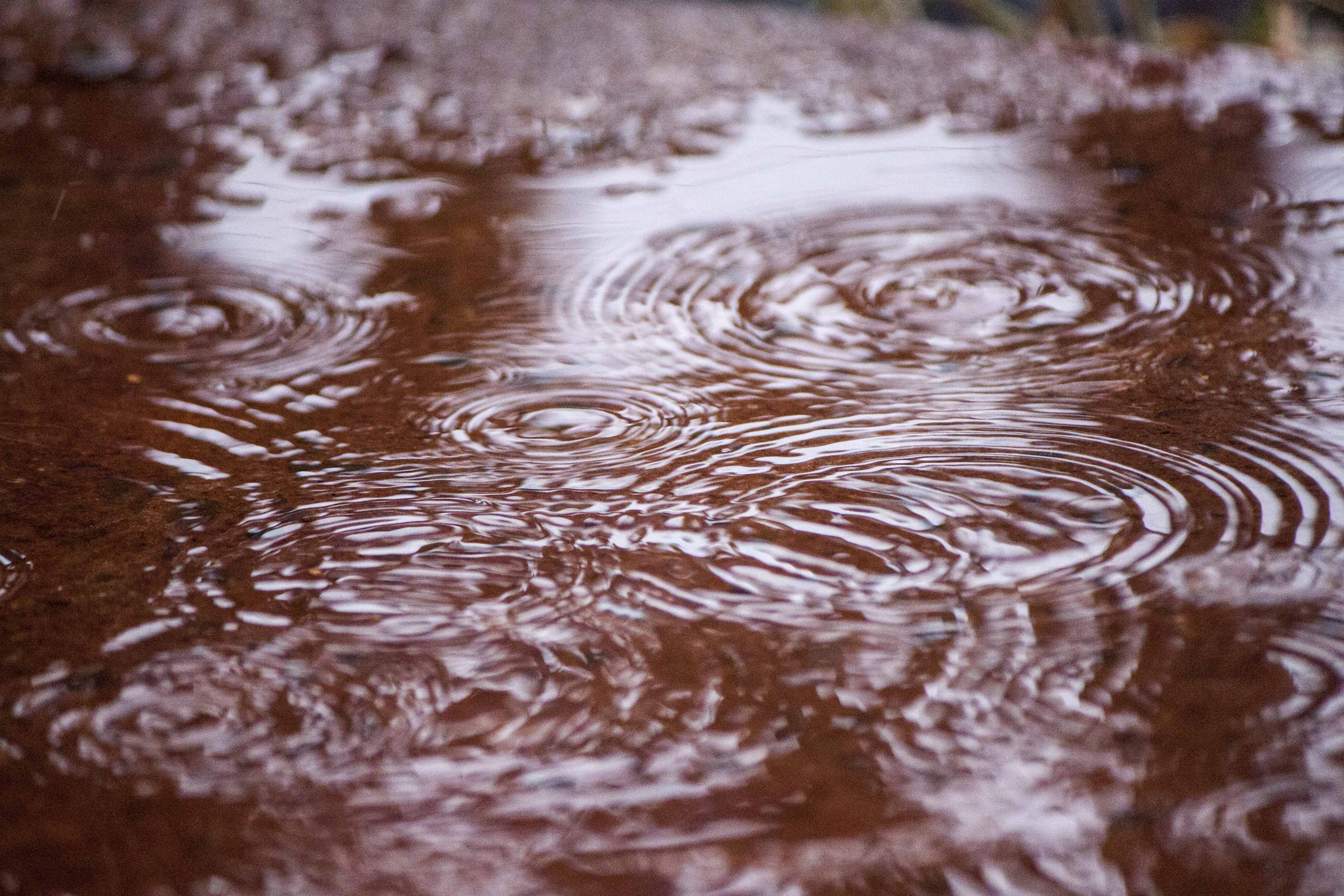 Rain drops on water puddle photo