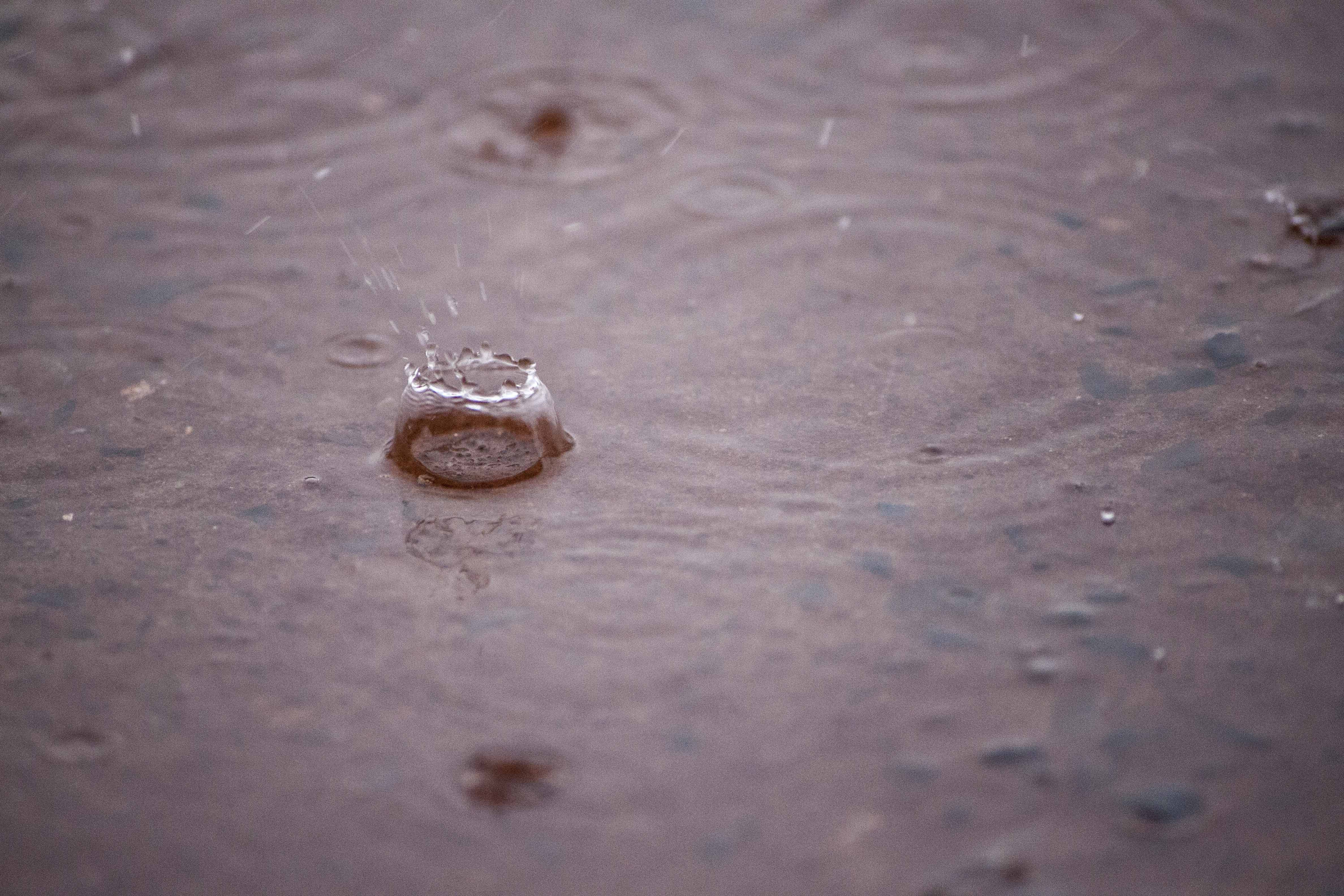 Rain drops on water puddle photo
