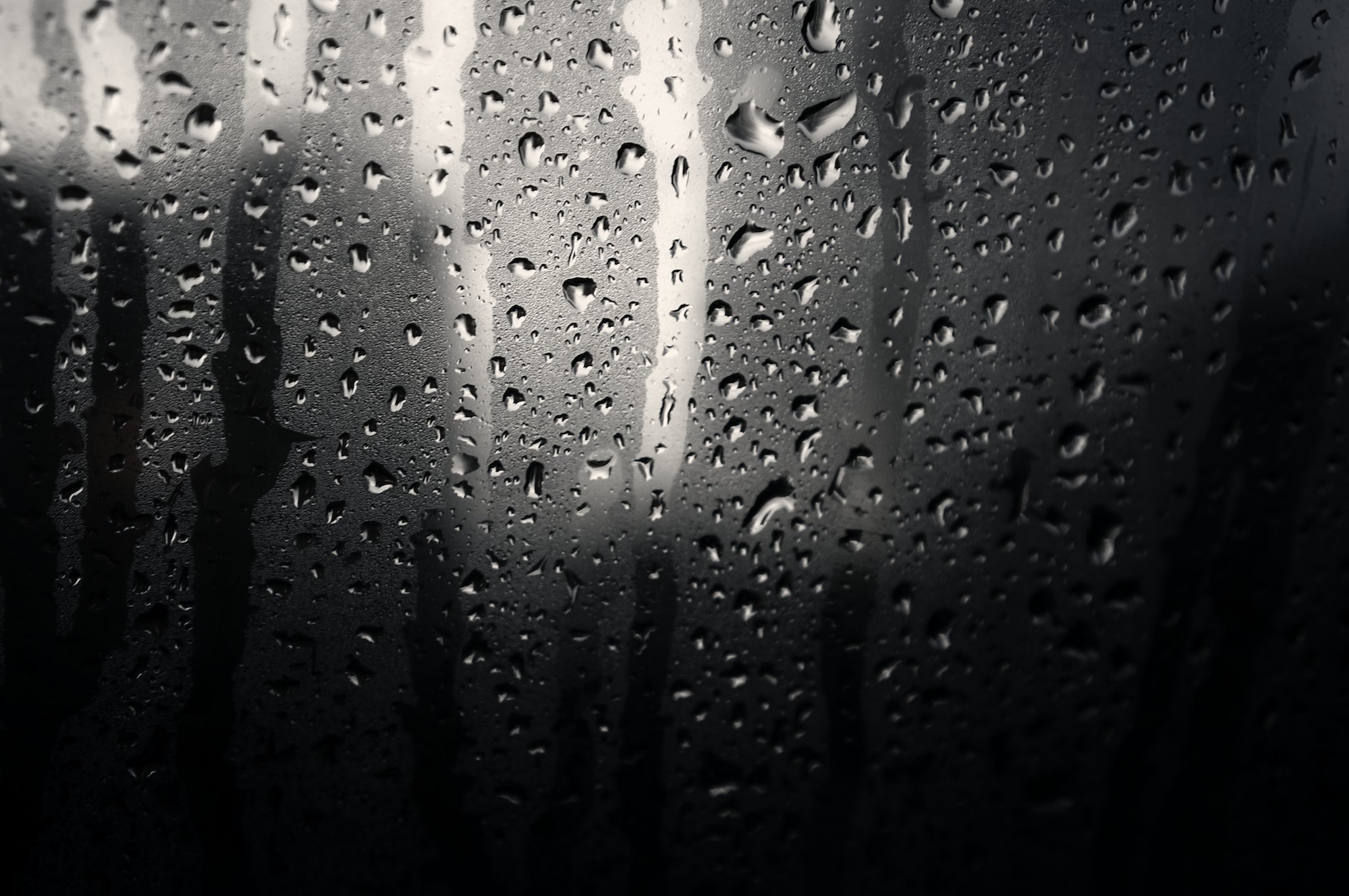 Rain on the Window | PigPog