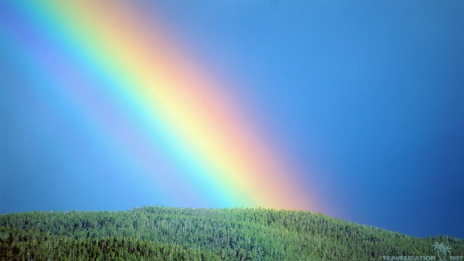 The Rainbow” | WORD UP 411