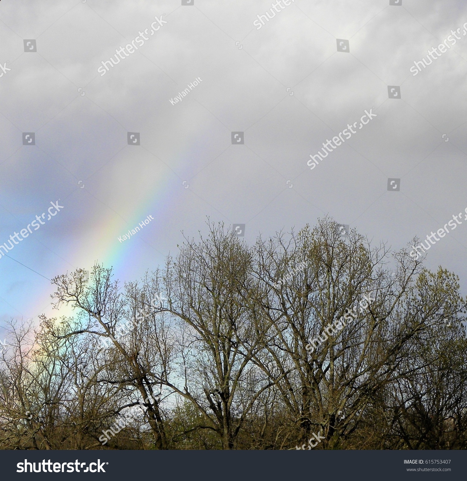 Rainbow Behind Treetops Stock Photo (Royalty Free) 615753407 ...
