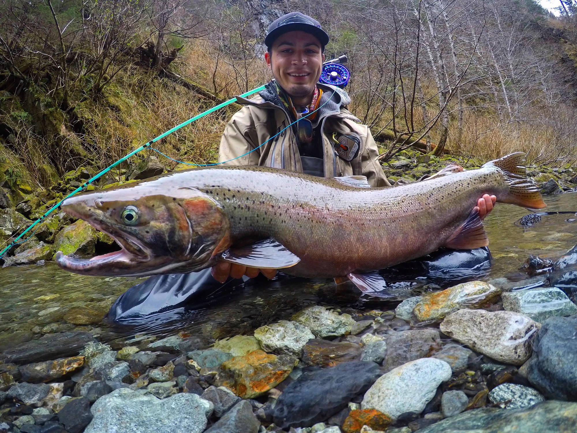 The Difference Between Steelhead & Rainbow Trout - Fly Lords Magazine