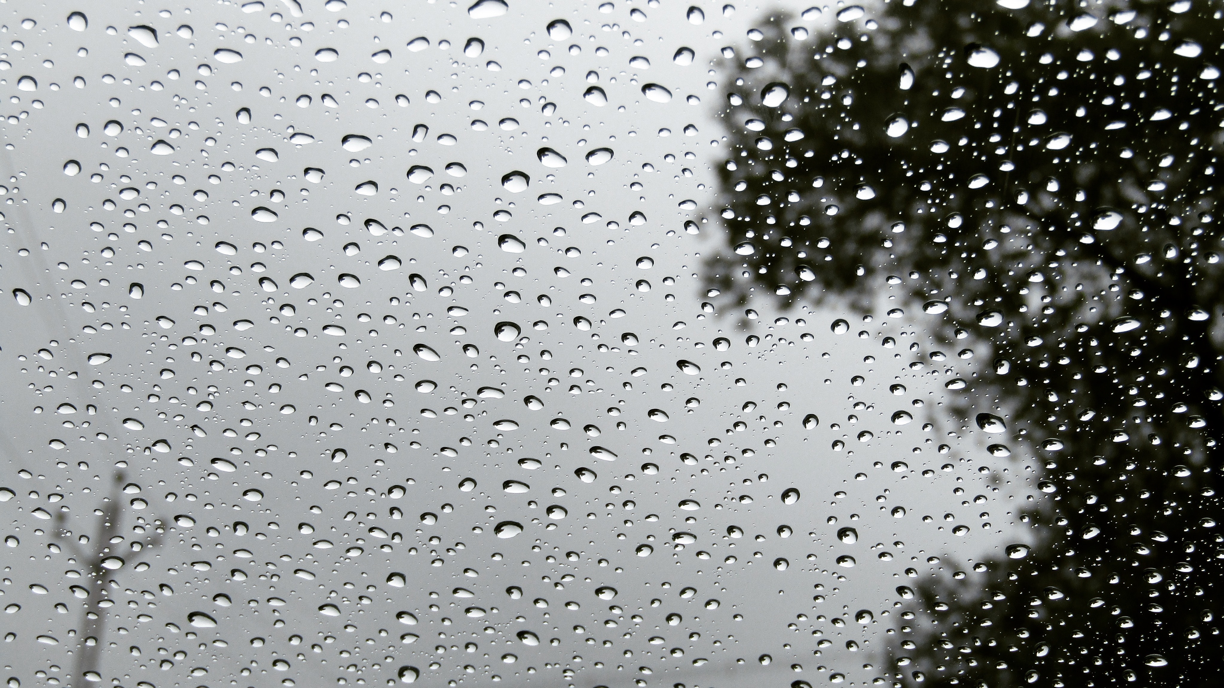 Raindrops on glass photo