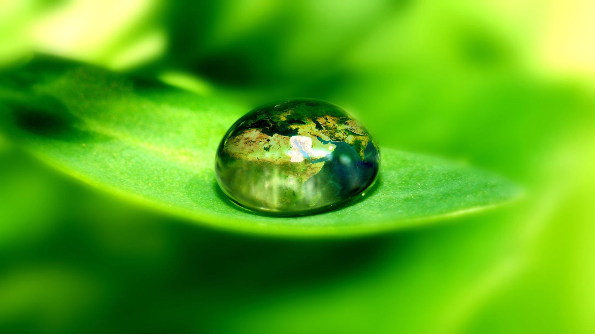 Earth Water Drop Earth Water Leaf Wallpaper | CSEPPek - water drops ...