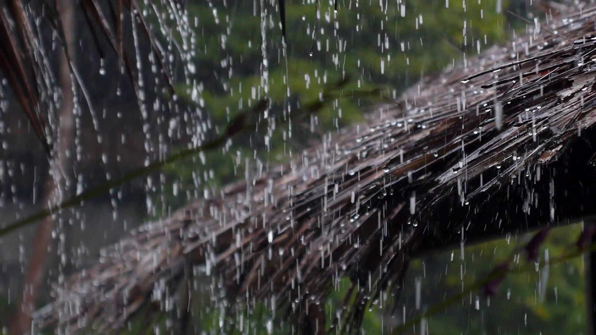Water Drop Falling on Straw Roof, Raining on Hut Stock Video Footage ...