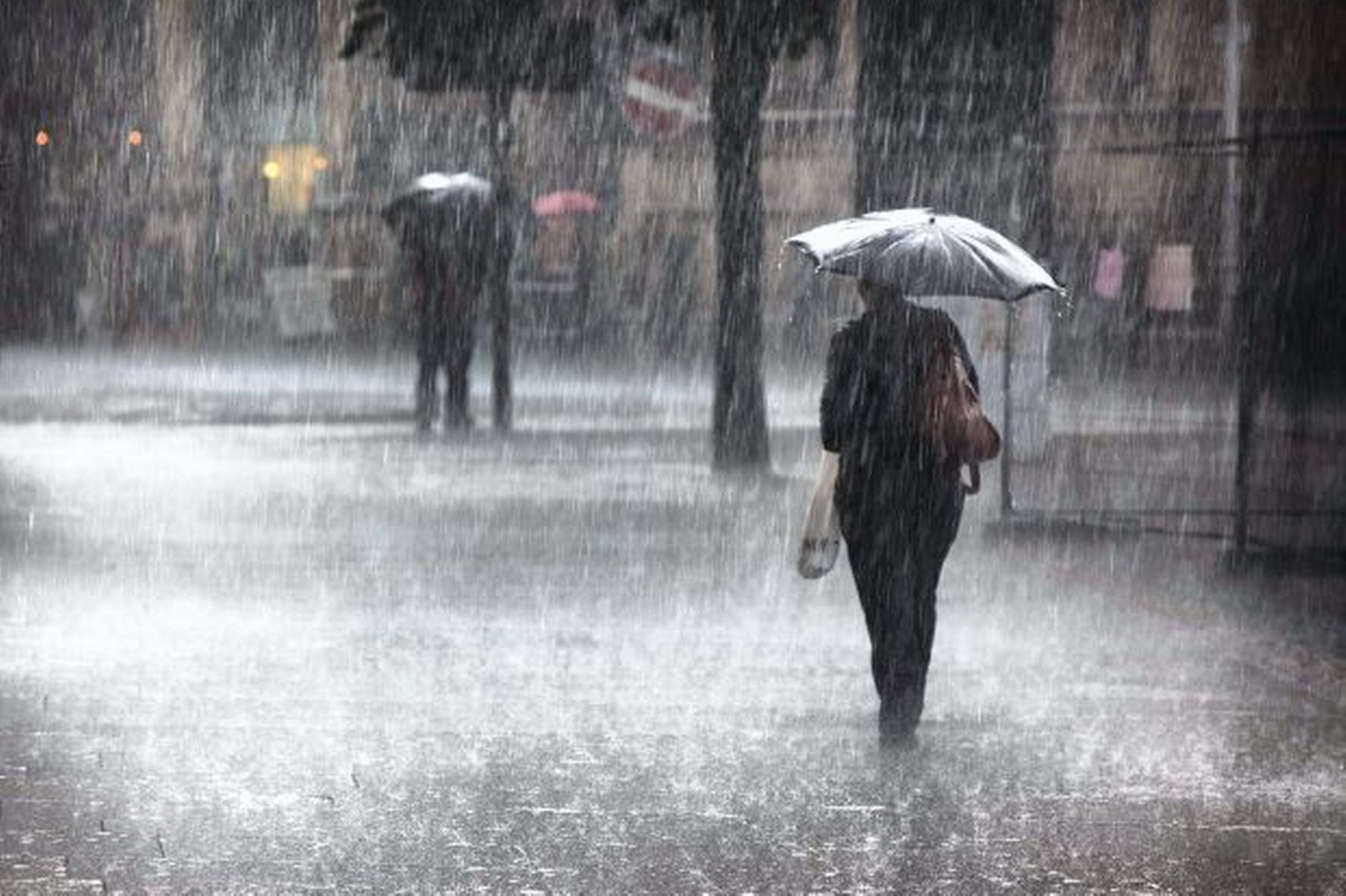 Rainy weather will continue in Azerbaijan - Report.az
